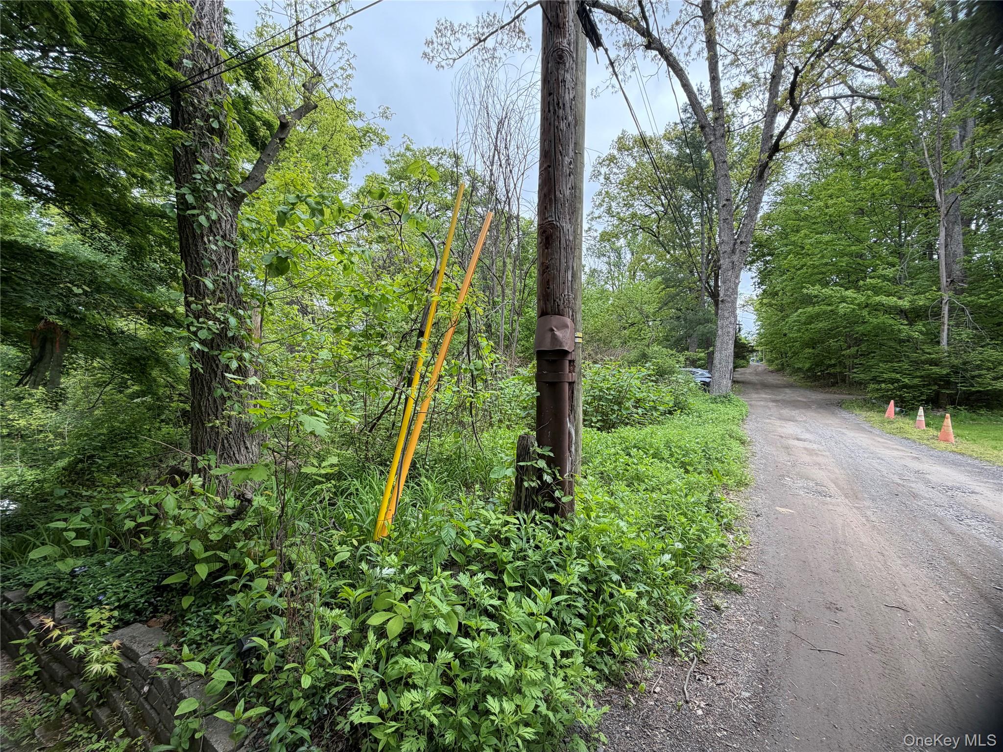 48 Paradise Trail Property Photo 3