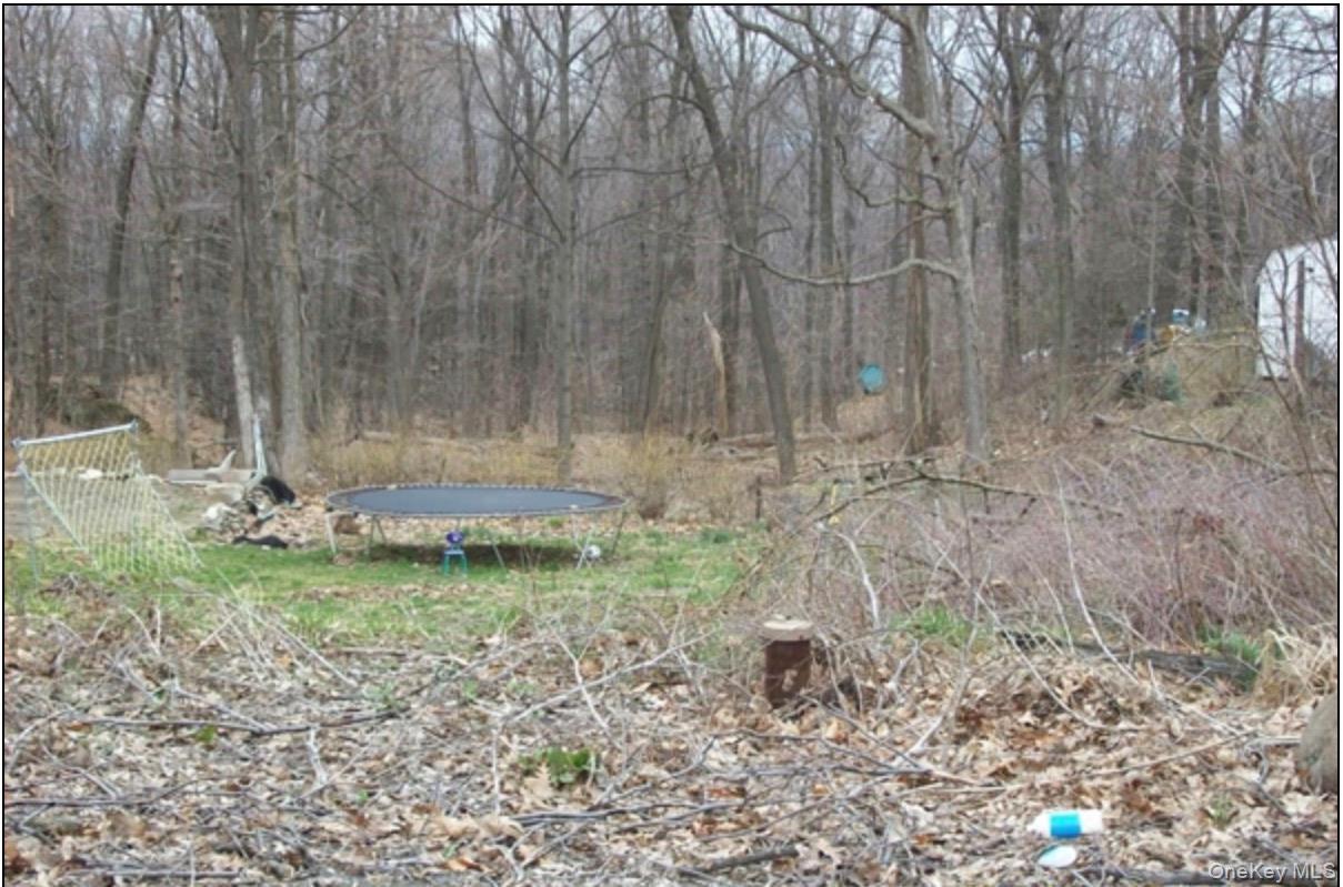 48 Paradise Trail Property Photo 1