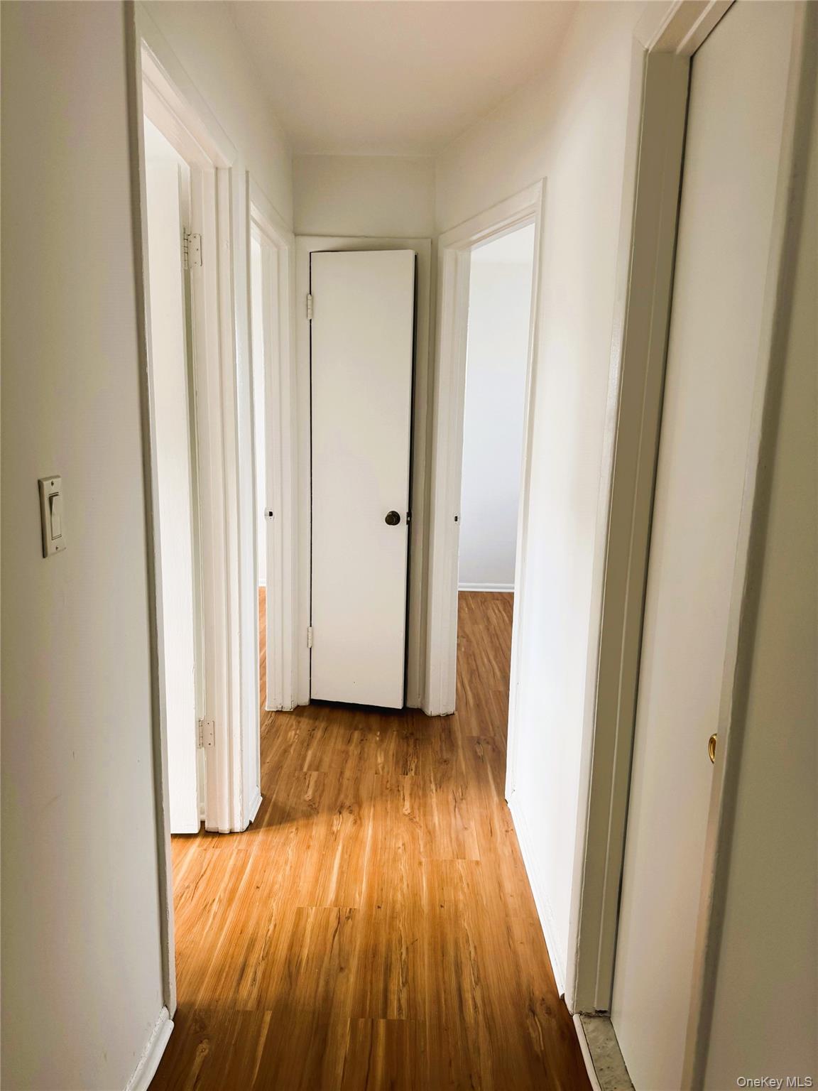 131 Roslyn Road 1st Floor Property Photo 12