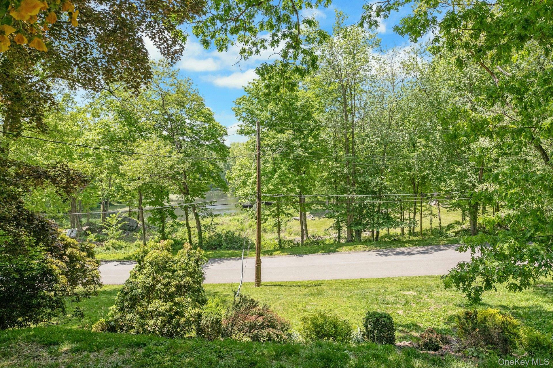 8 Woodland Road Property Photo 22