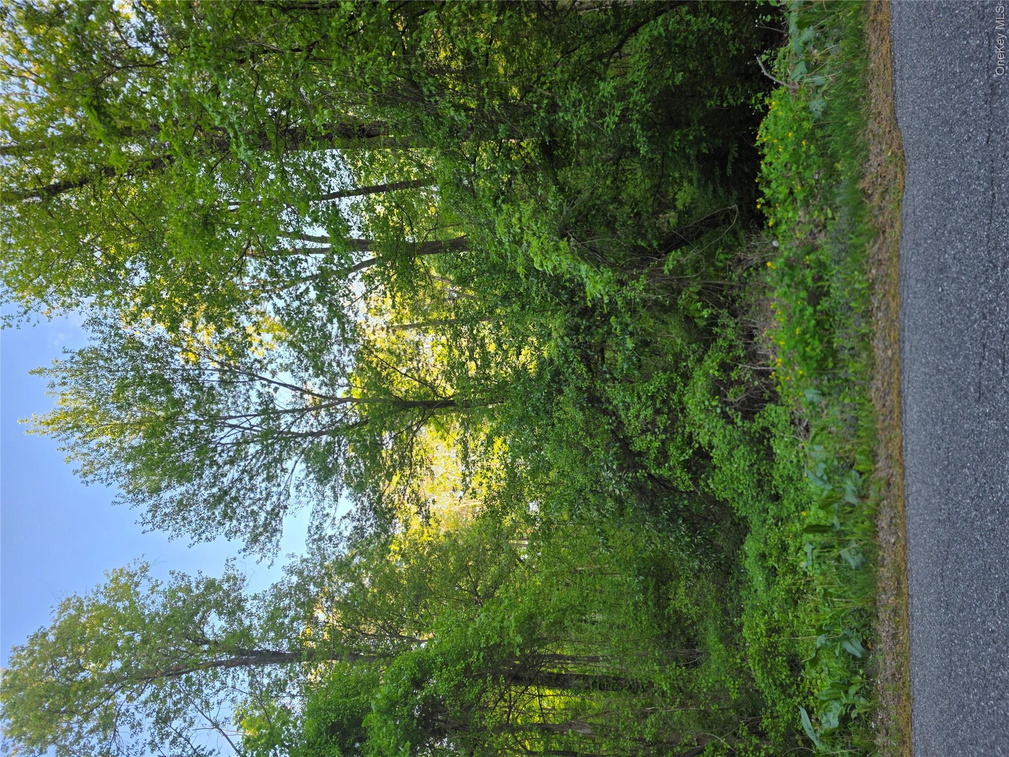 122 Archer Rd Property Photo 3