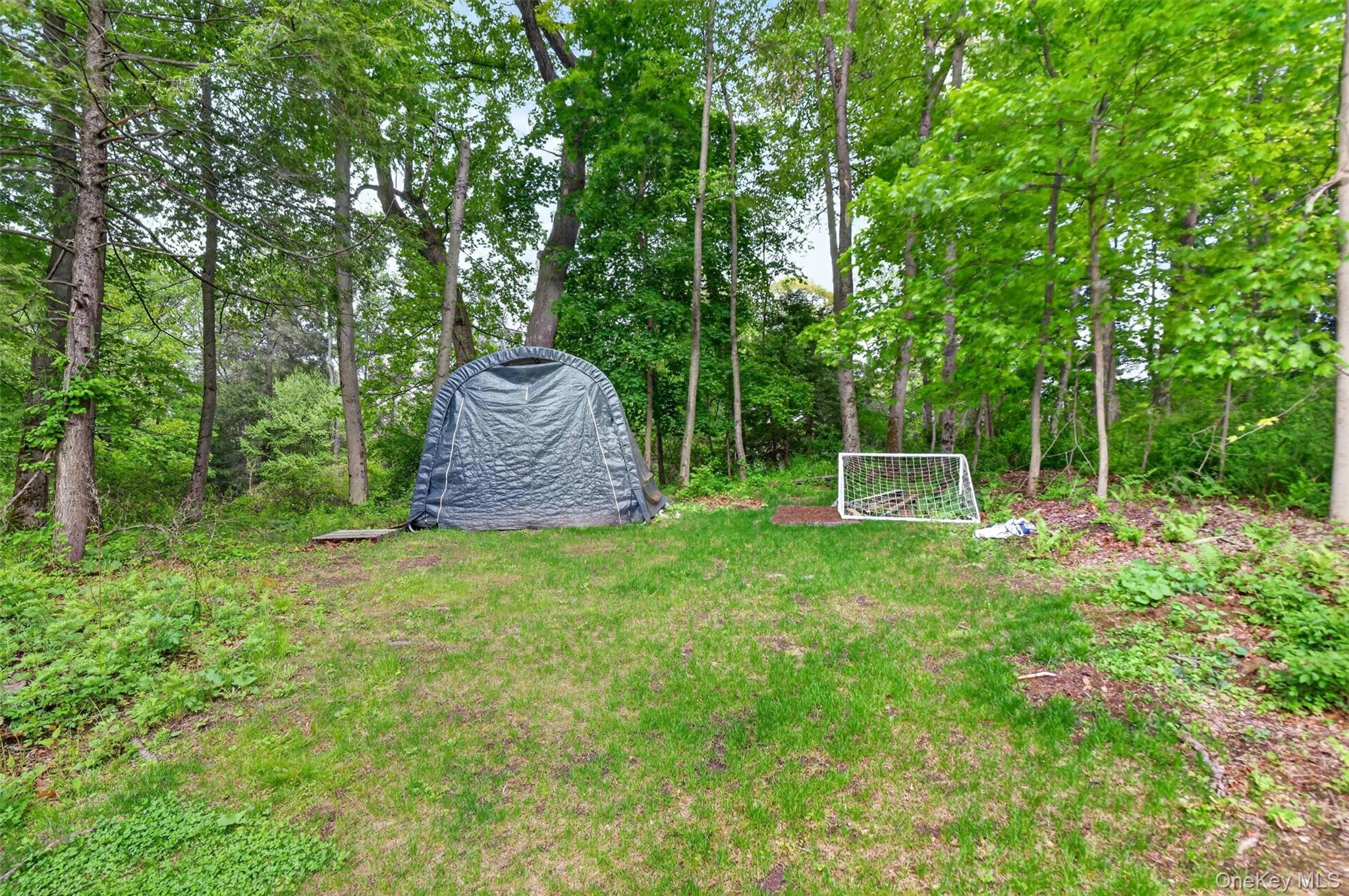 12 Ronnie Lane Property Photo 29