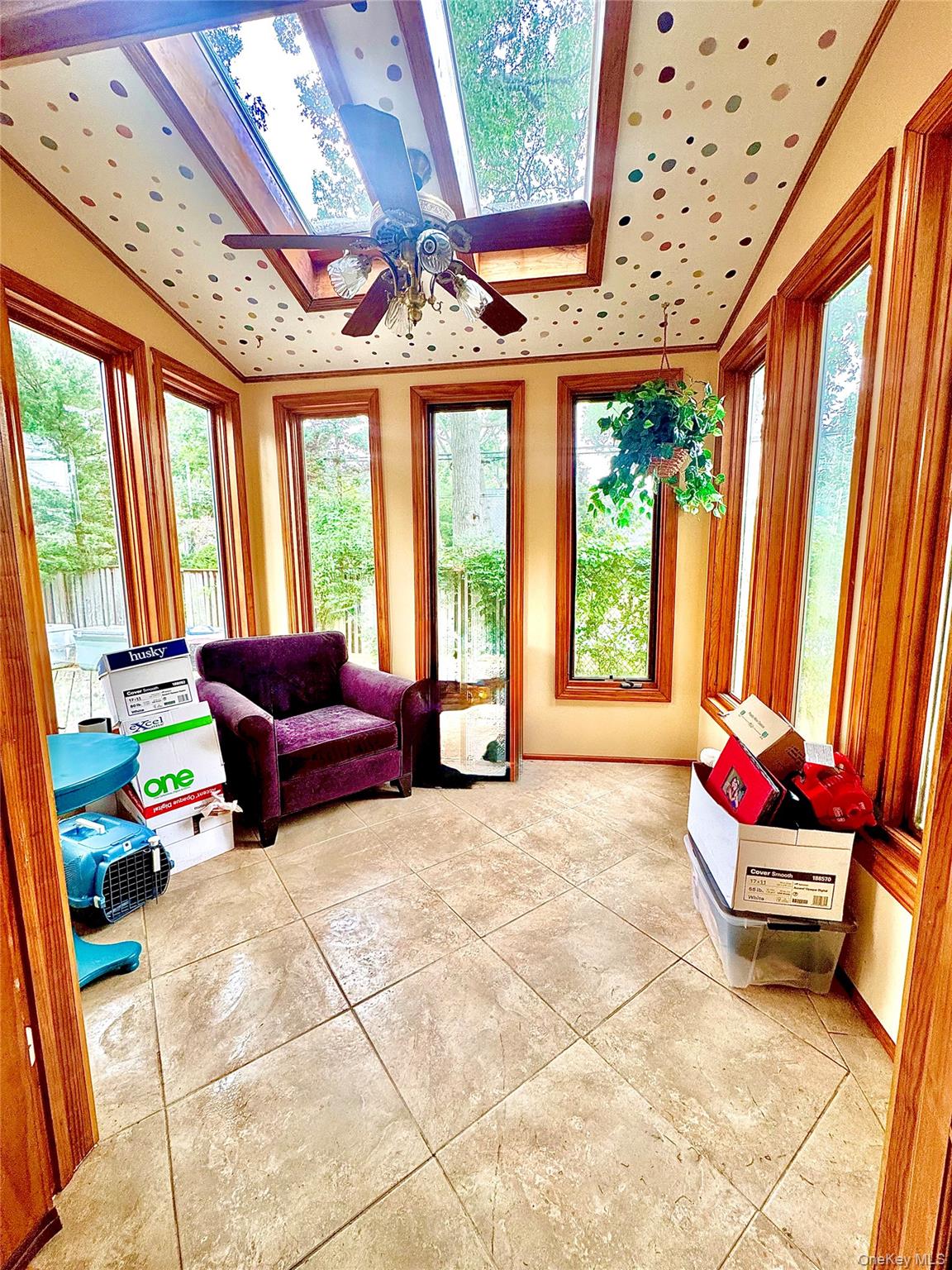 59 Prince Street Property Photo 9