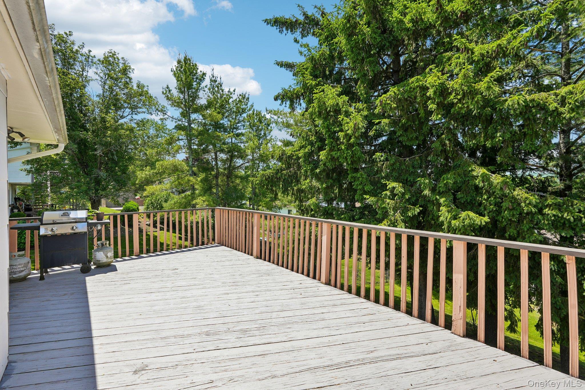 20 Skyline Drive Property Photo 39