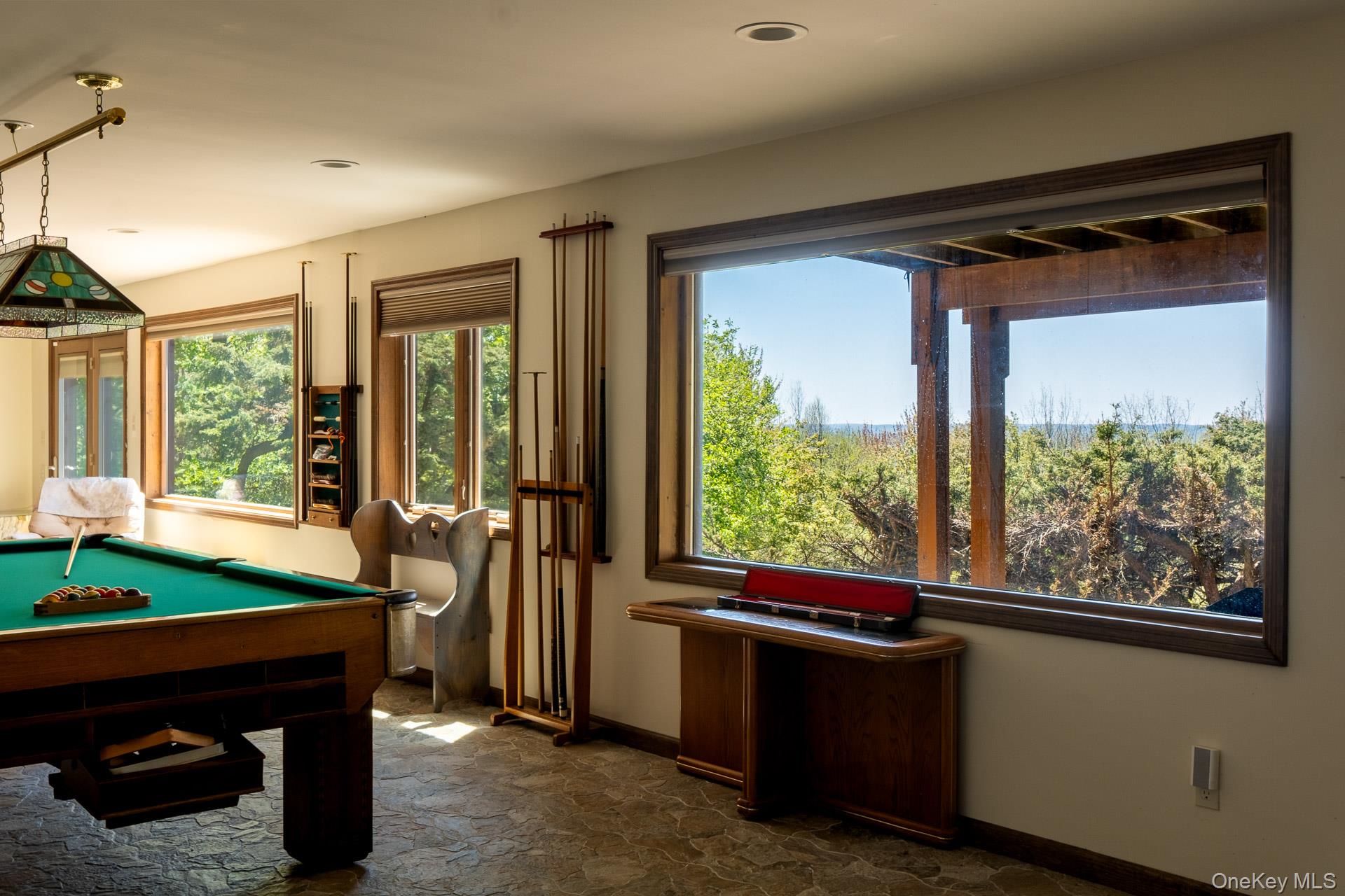203 Skyline Drive Property Photo 28