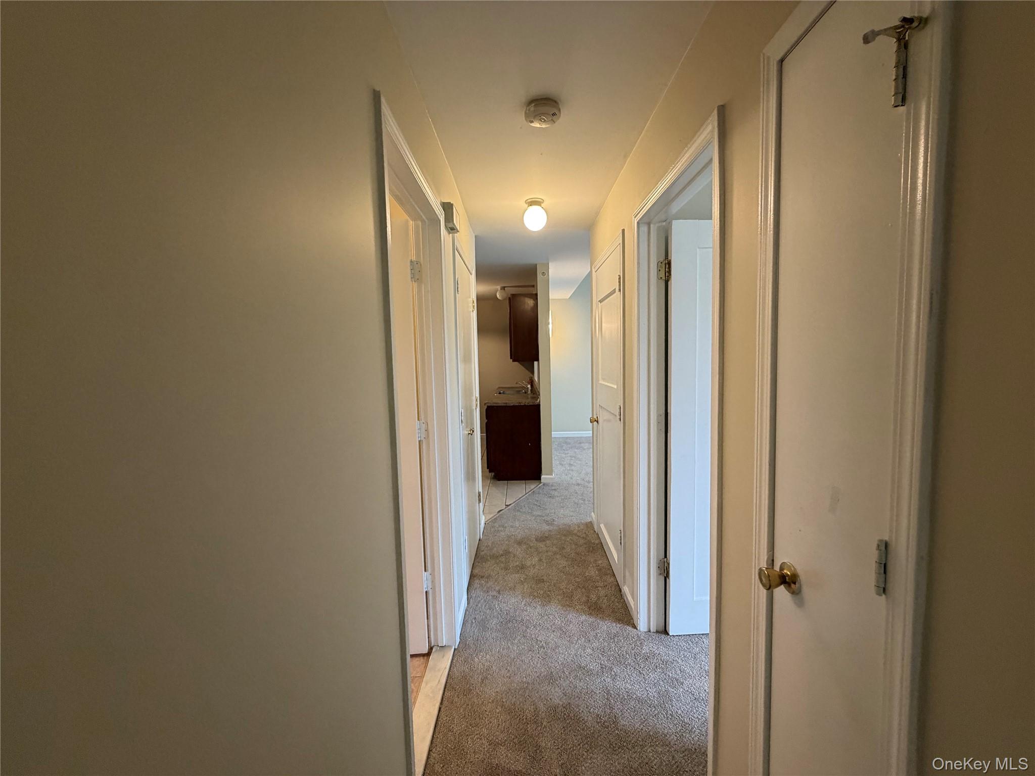 141 Ruth Court Property Photo 17