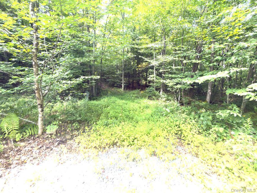9362 Sthwy Rt 30 Property Photo 30