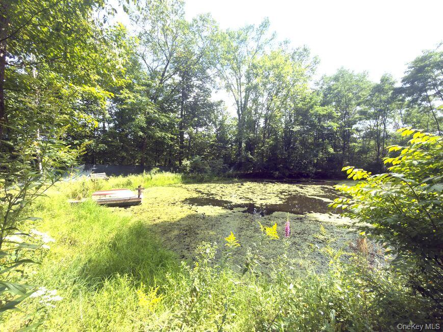 9362 Sthwy Rt 30 Property Photo 45