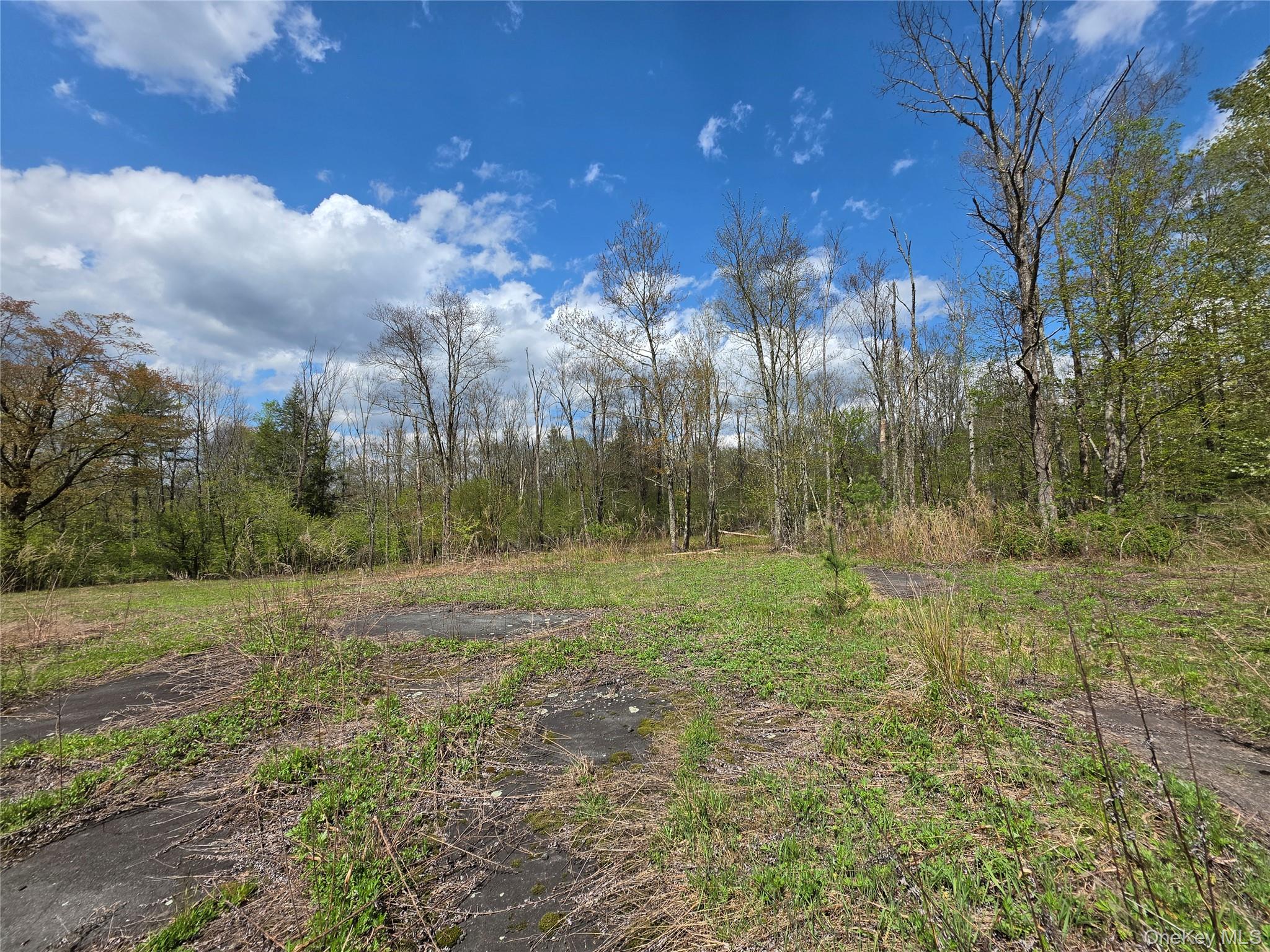 852 State Route 17b Property Photo 8