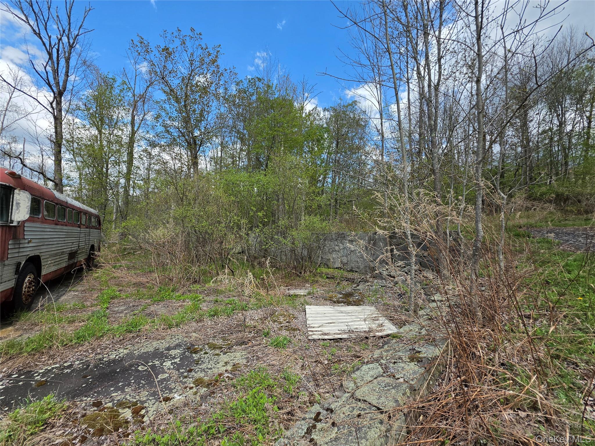 852 State Route 17b Property Photo 25