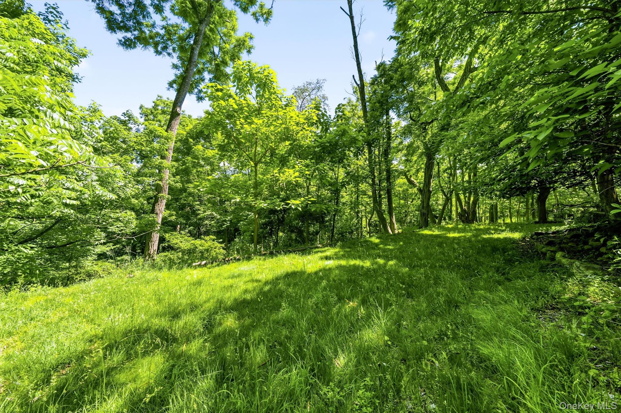 65 Old Turnpike Road Property Photo 12