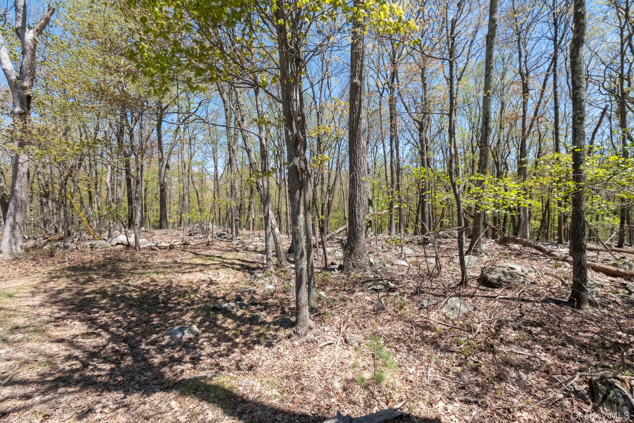Canal Road Property Photo 8