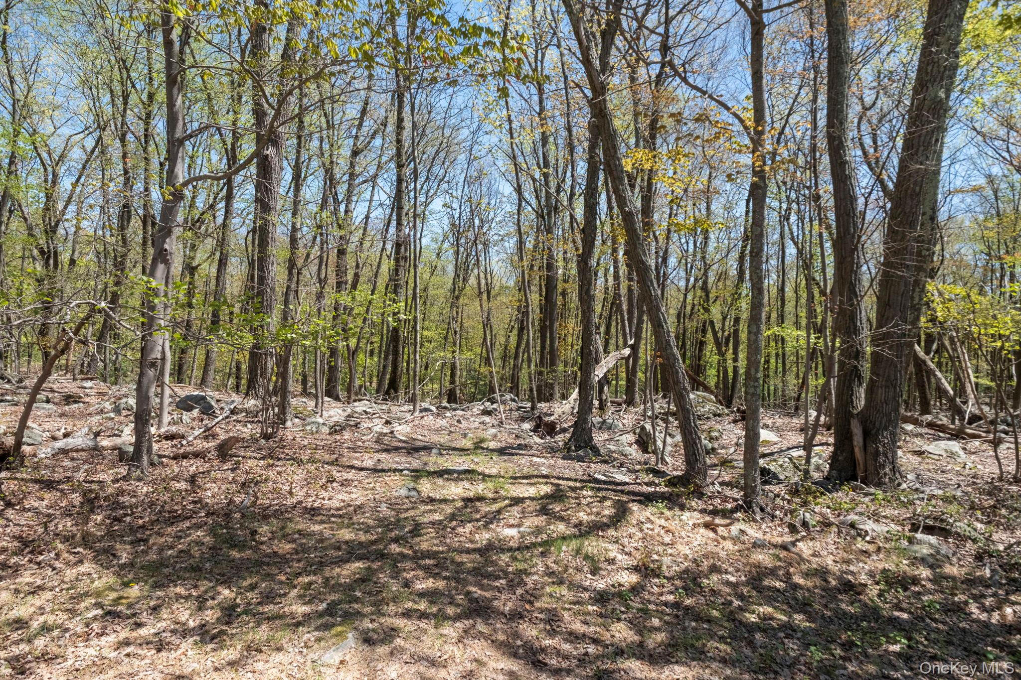 Canal Road Property Photo 11
