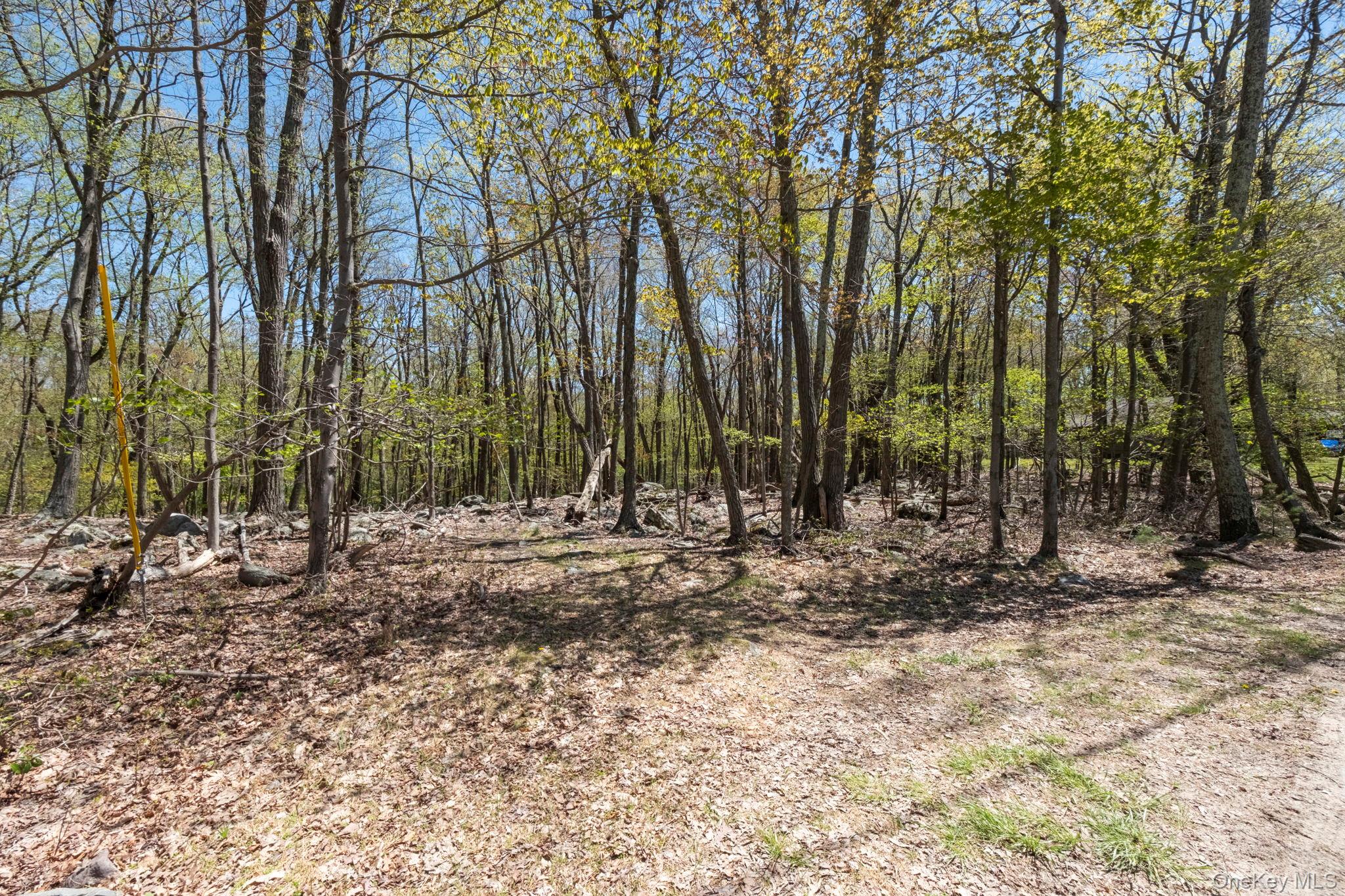 Canal Road Property Photo 12
