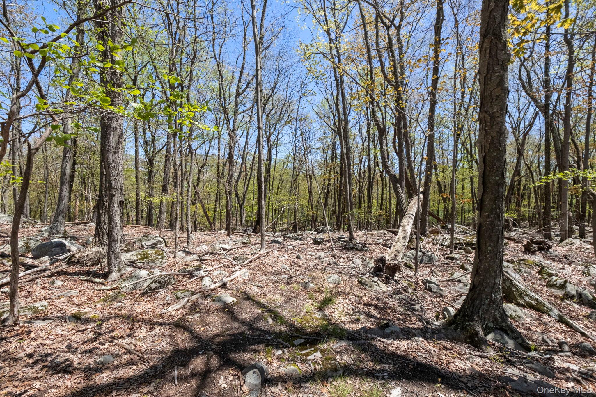 Canal Road Property Photo 13