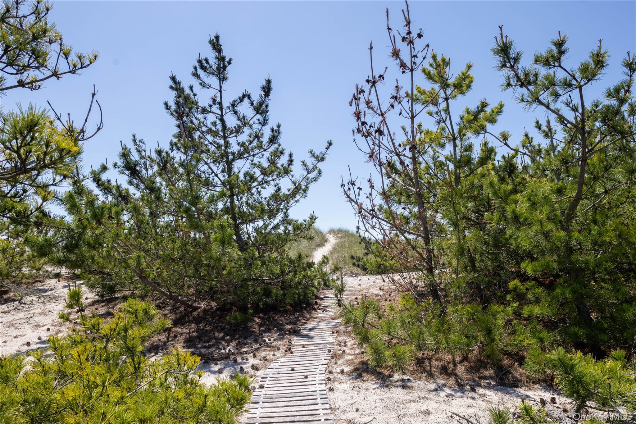 398 Dune Road Property Photo 5