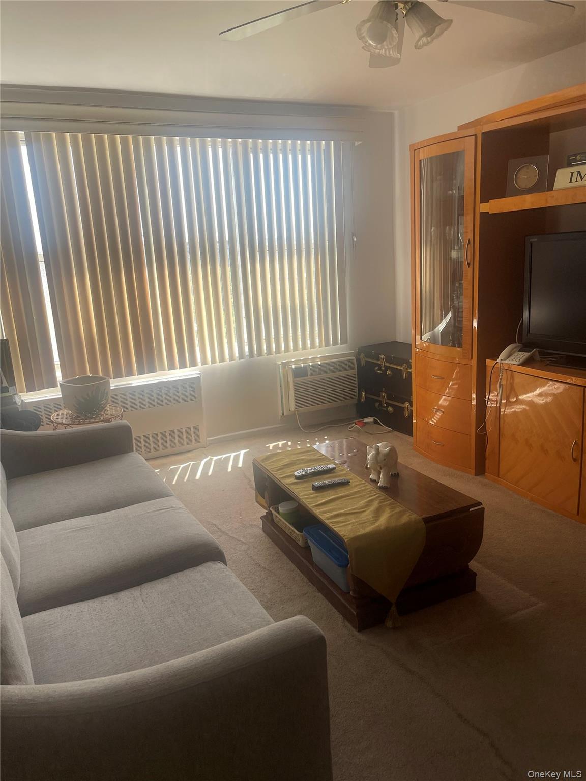 355 Bronx River Road 6i Property Photo 7