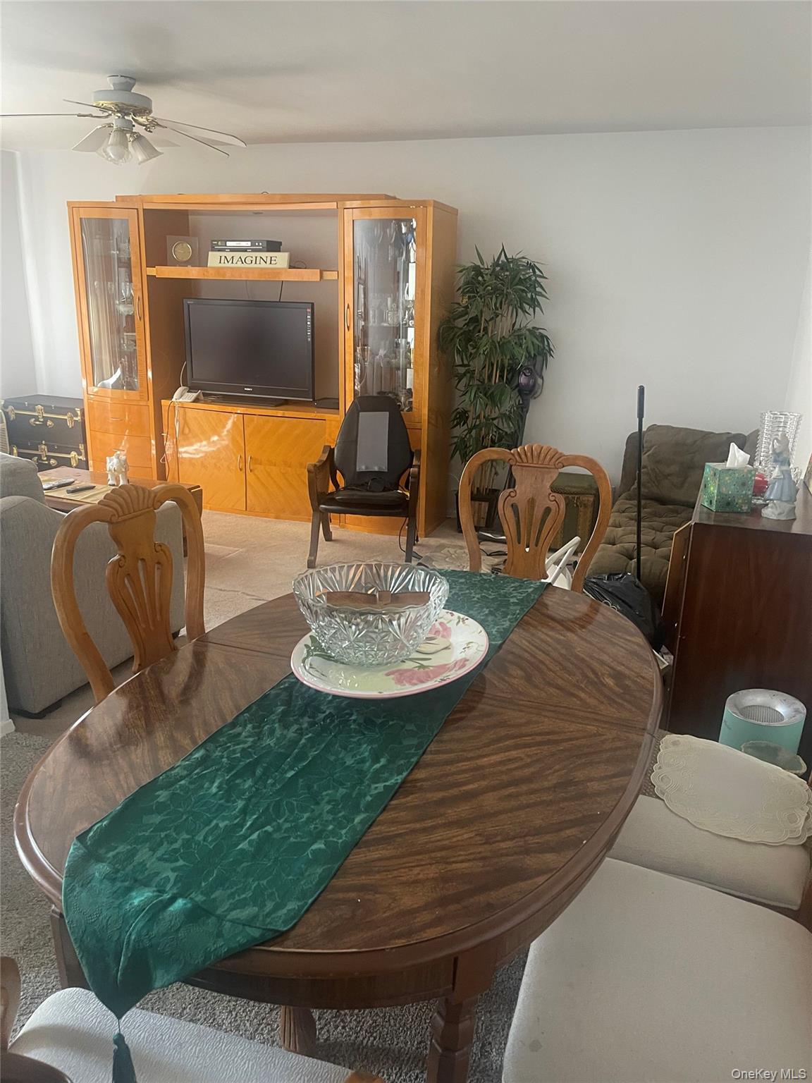 355 Bronx River Road 6i Property Photo 8