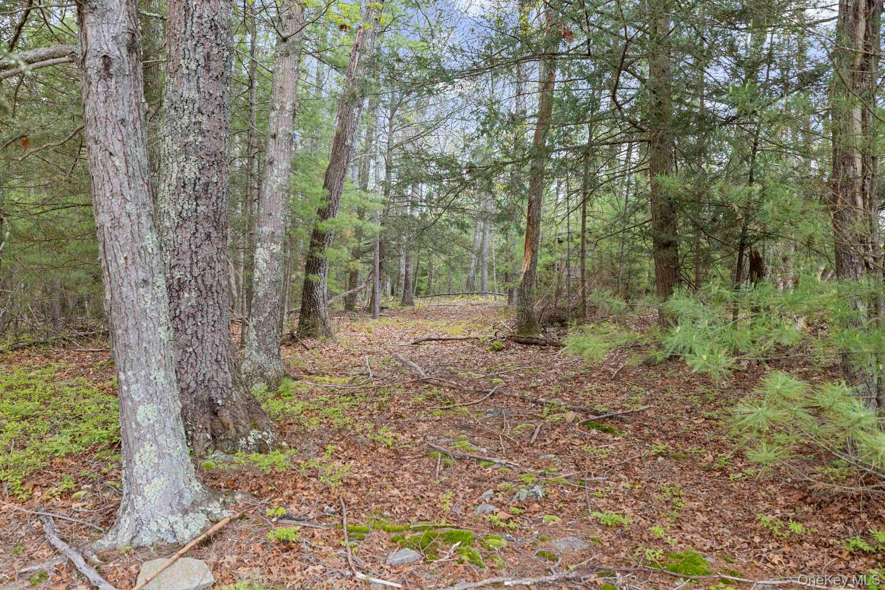 125 Stone Road Property Photo 37