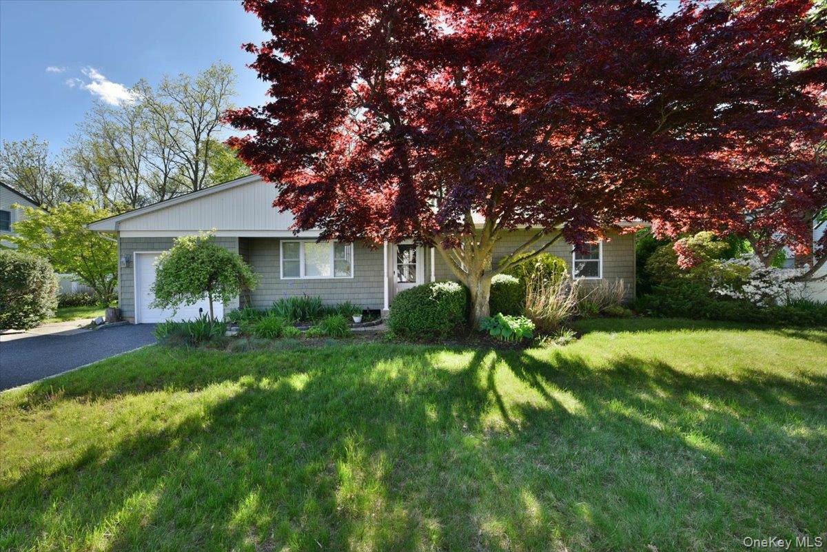 20 Dumond Place Property Photo 2