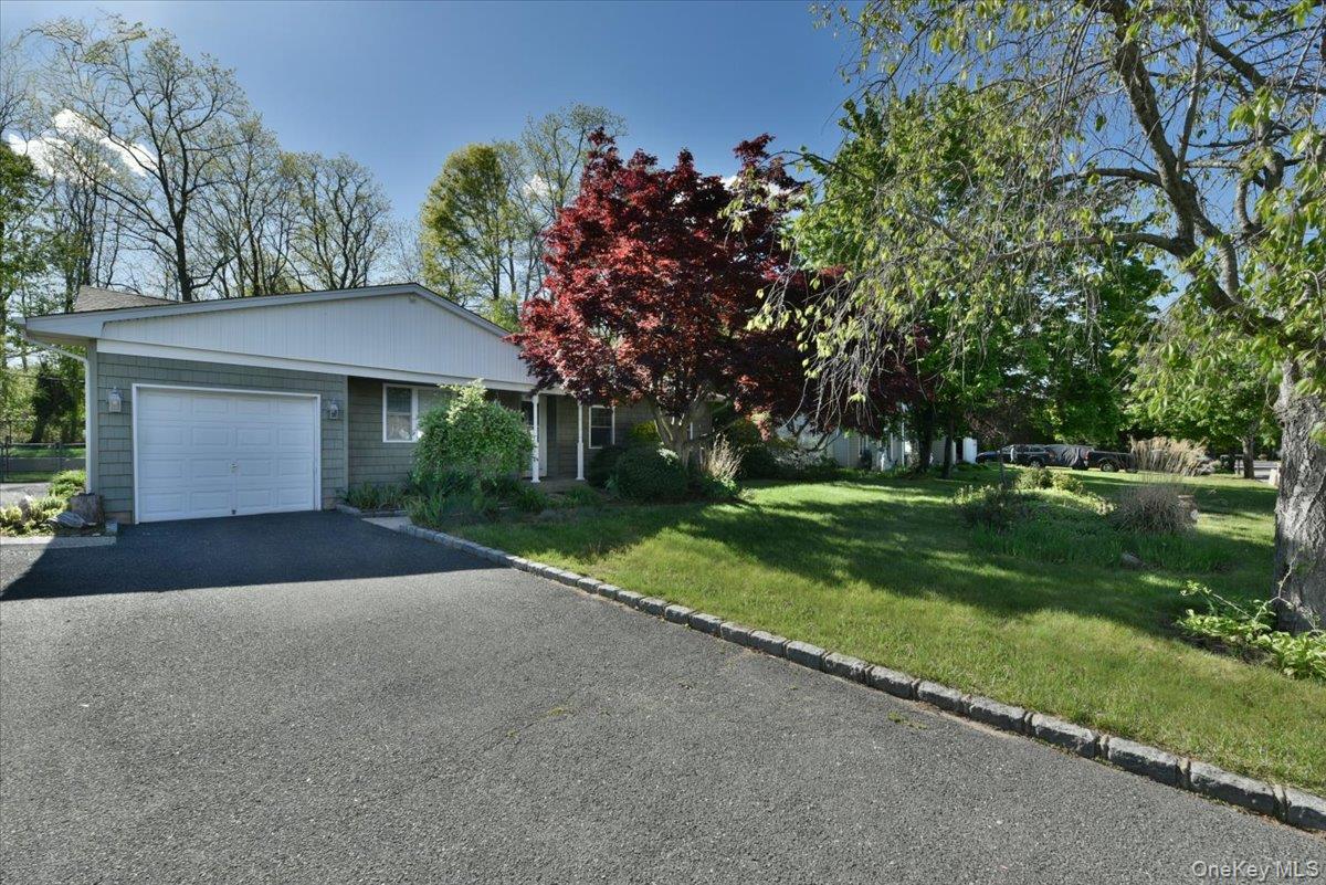 20 Dumond Place Property Photo 3