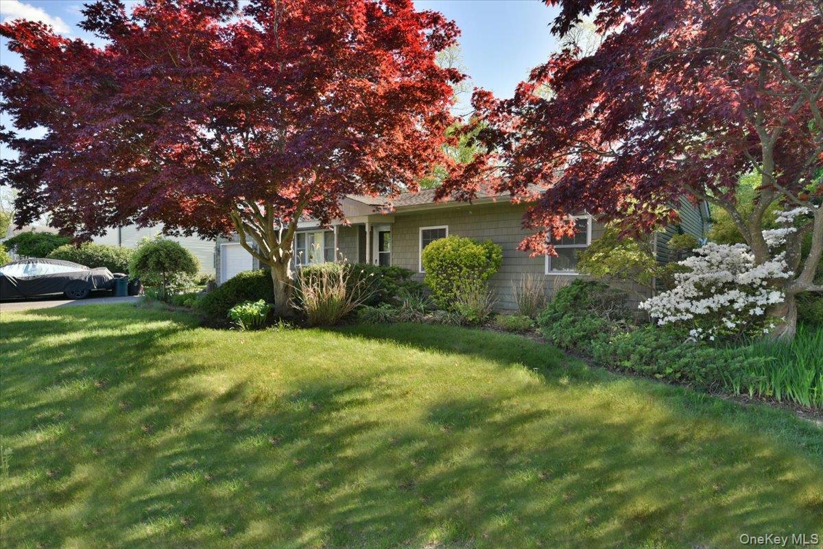 20 Dumond Place Property Photo 4