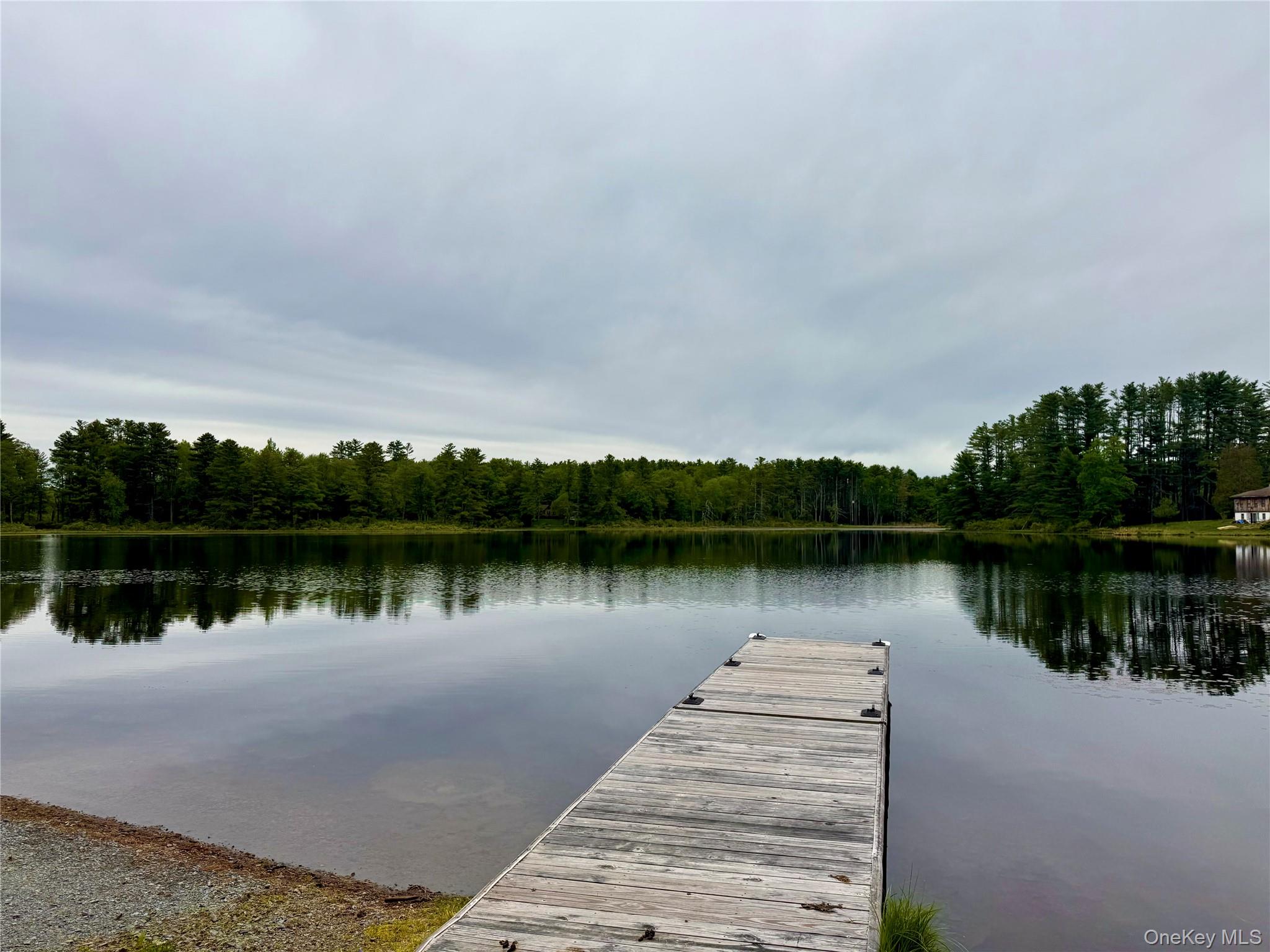 203 Wildwood Way Property Photo 37