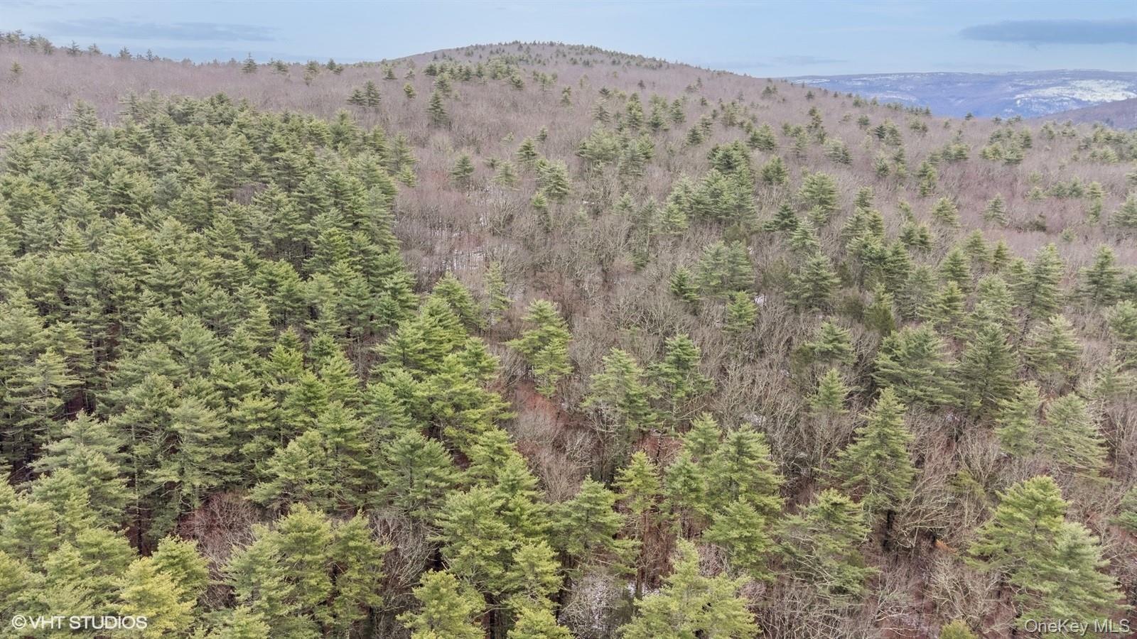 736 State Route 55 Property Photo 41