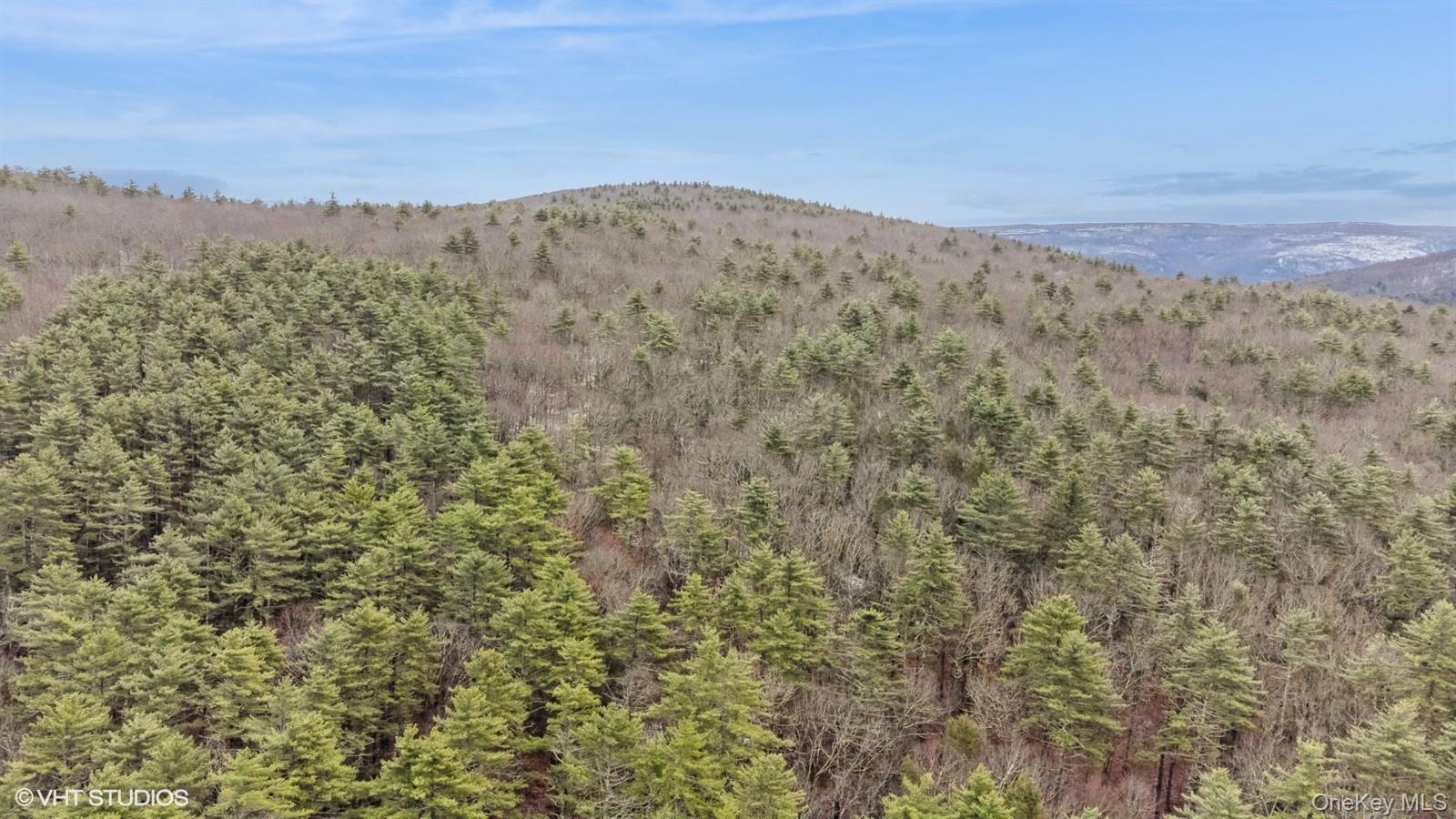 736 State Route 55 Property Photo 42