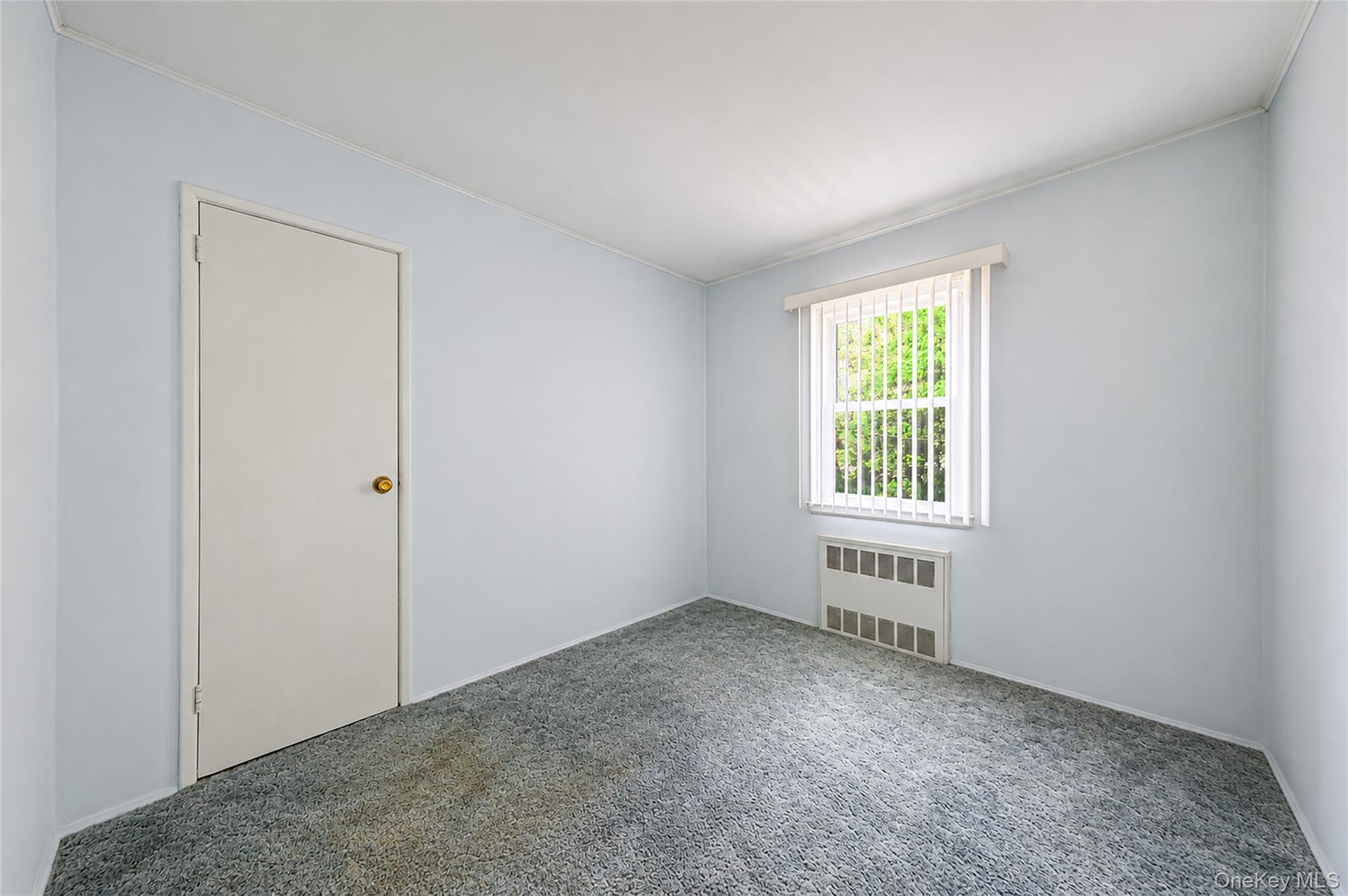 59 Maybrook Road Property Photo 16