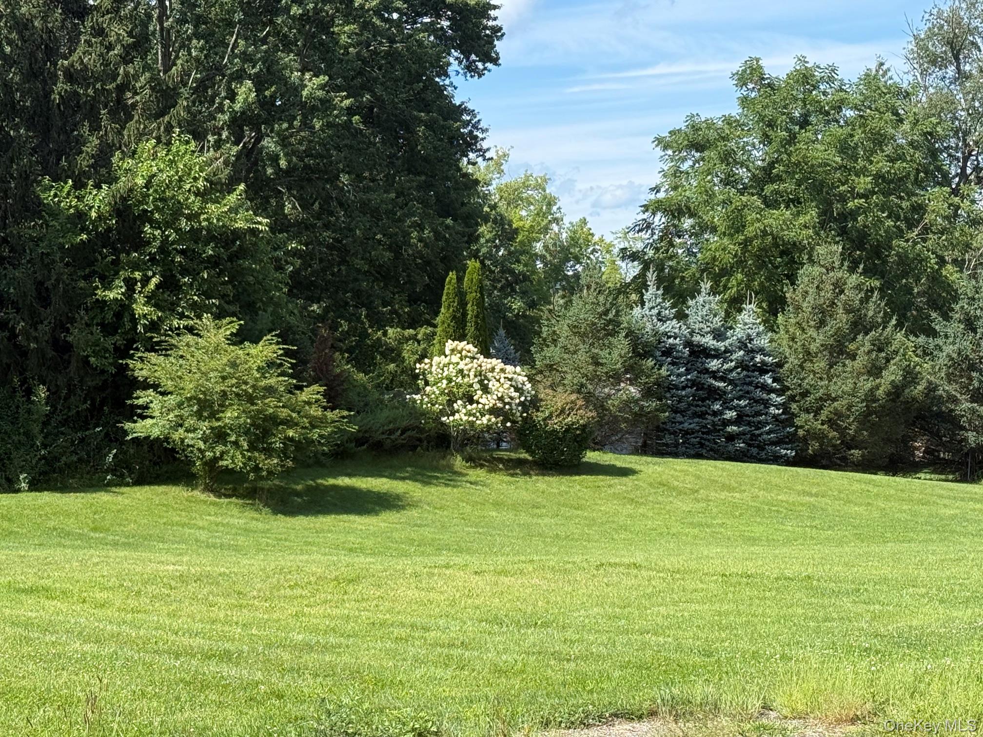 21 Ohandley Drive Property Photo 21