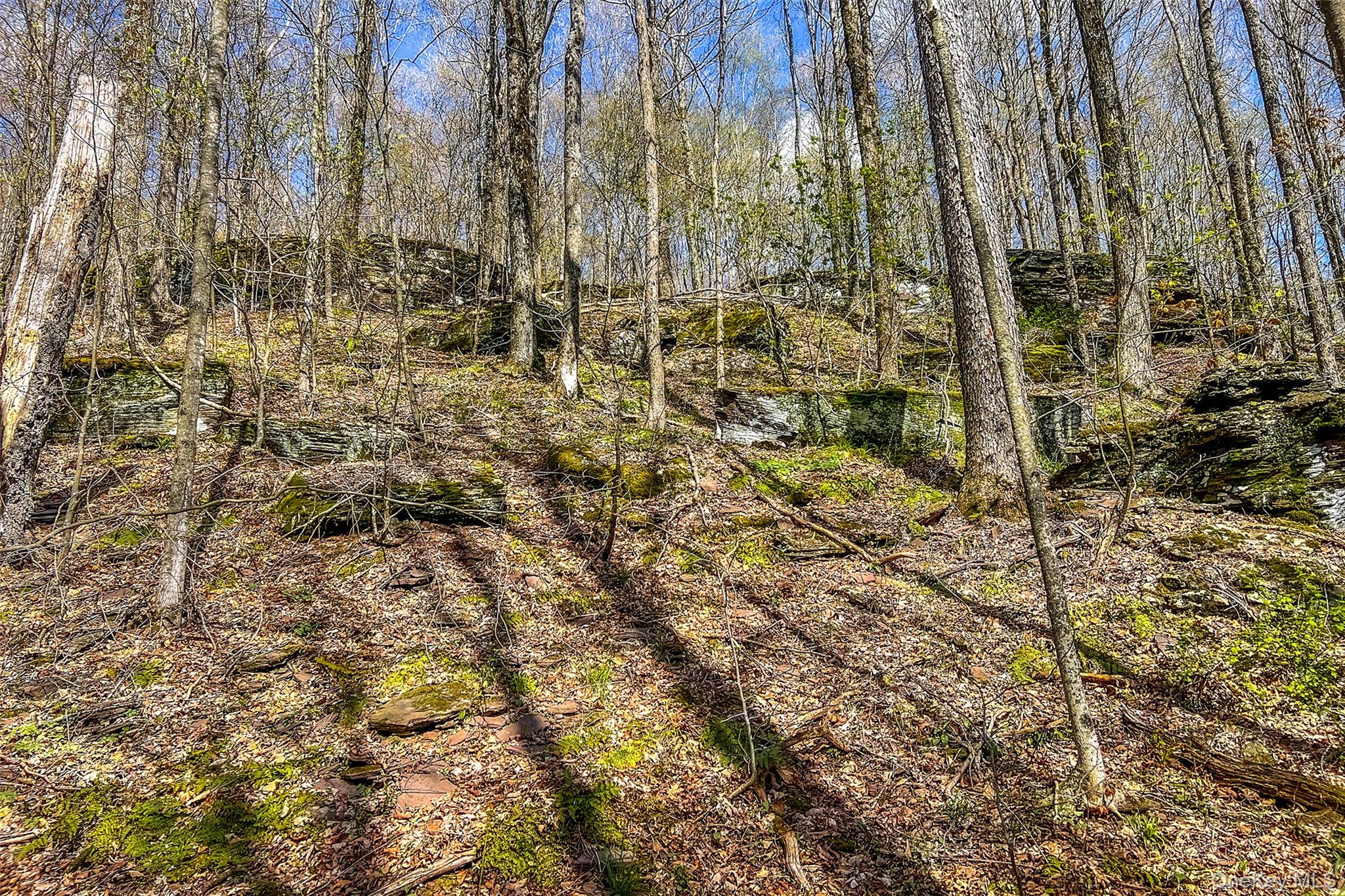 1264 Betty Brook Road Property Photo 43