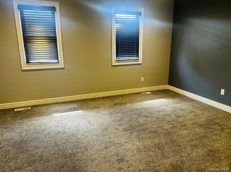 113 Alicia Drive Property Photo 14