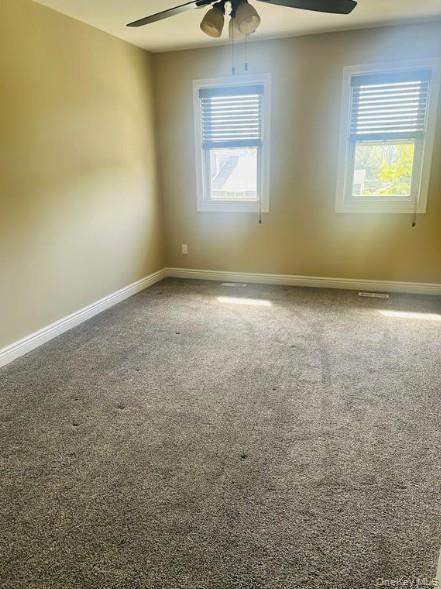 113 Alicia Drive Property Photo 19