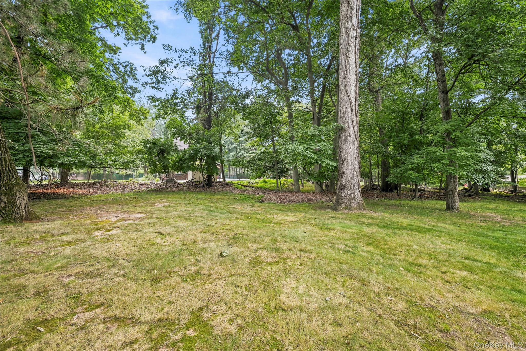 5 Sophia Street Property Photo 46