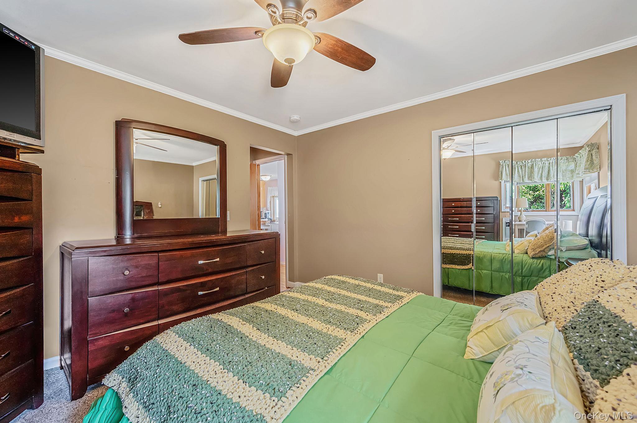 11 Windsor Street Property Photo 29
