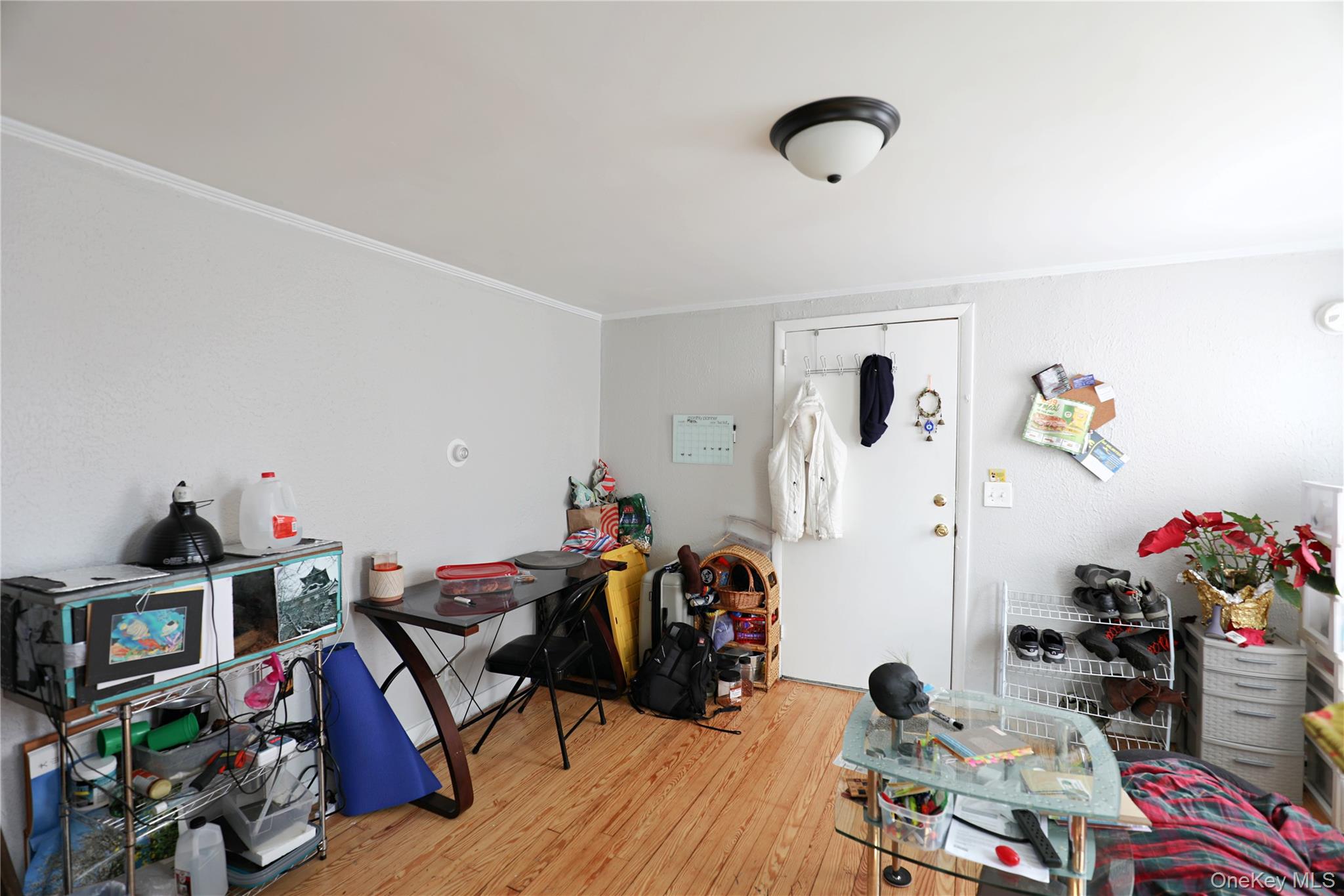 343 Washington Avenue Property Photo 16