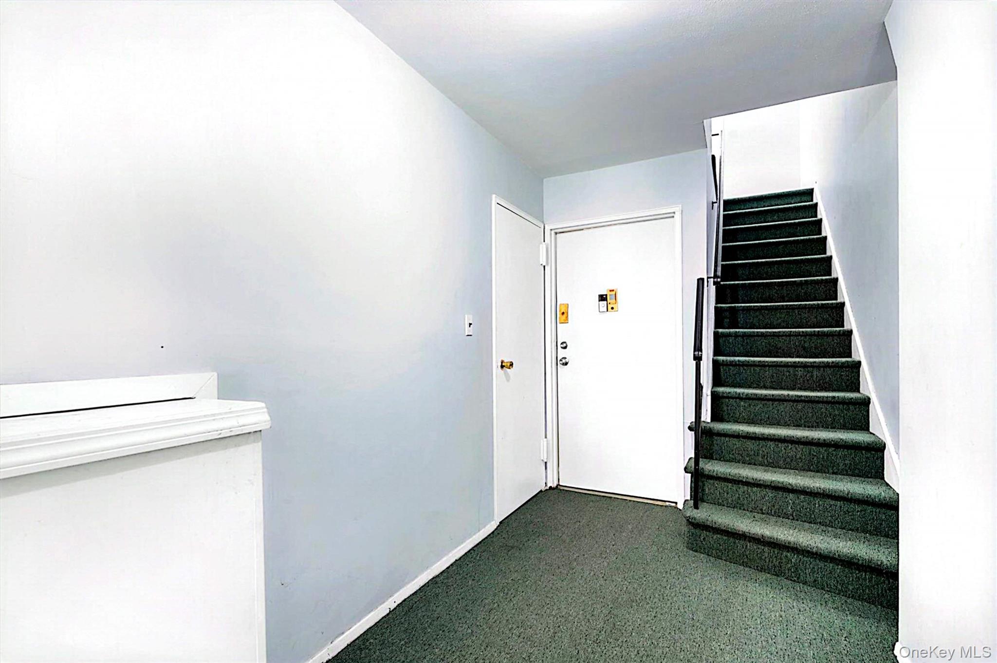 220-50 64th Avenue 1fl Property Photo 5