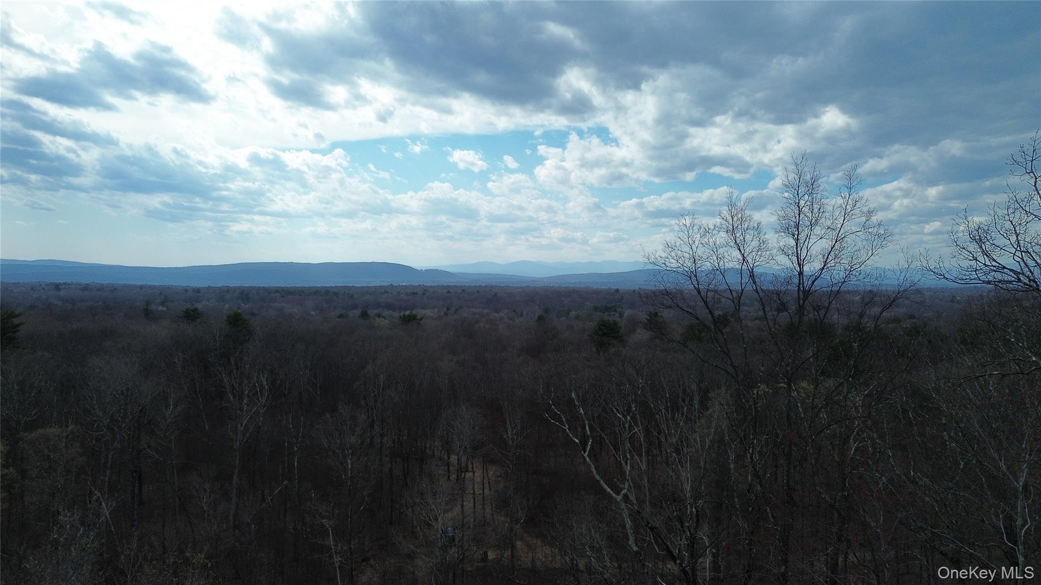 1790 Route 9g Property Photo 9