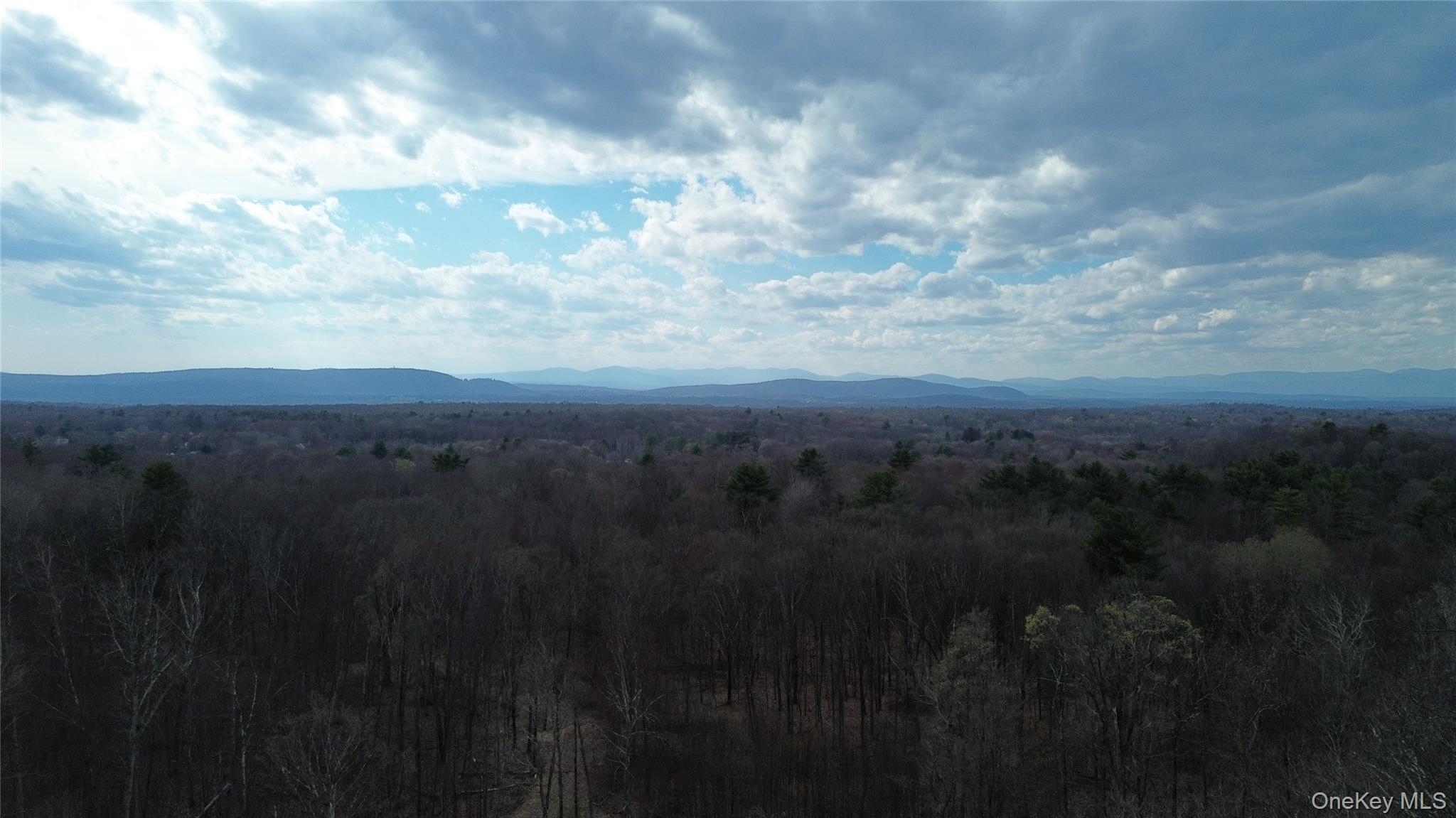 1790 Route 9g Property Photo 11