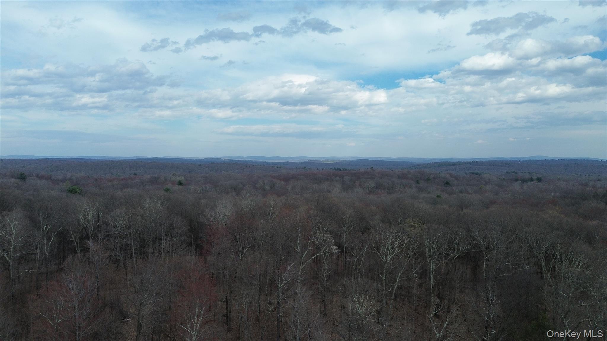 1790 Route 9g Property Photo 12