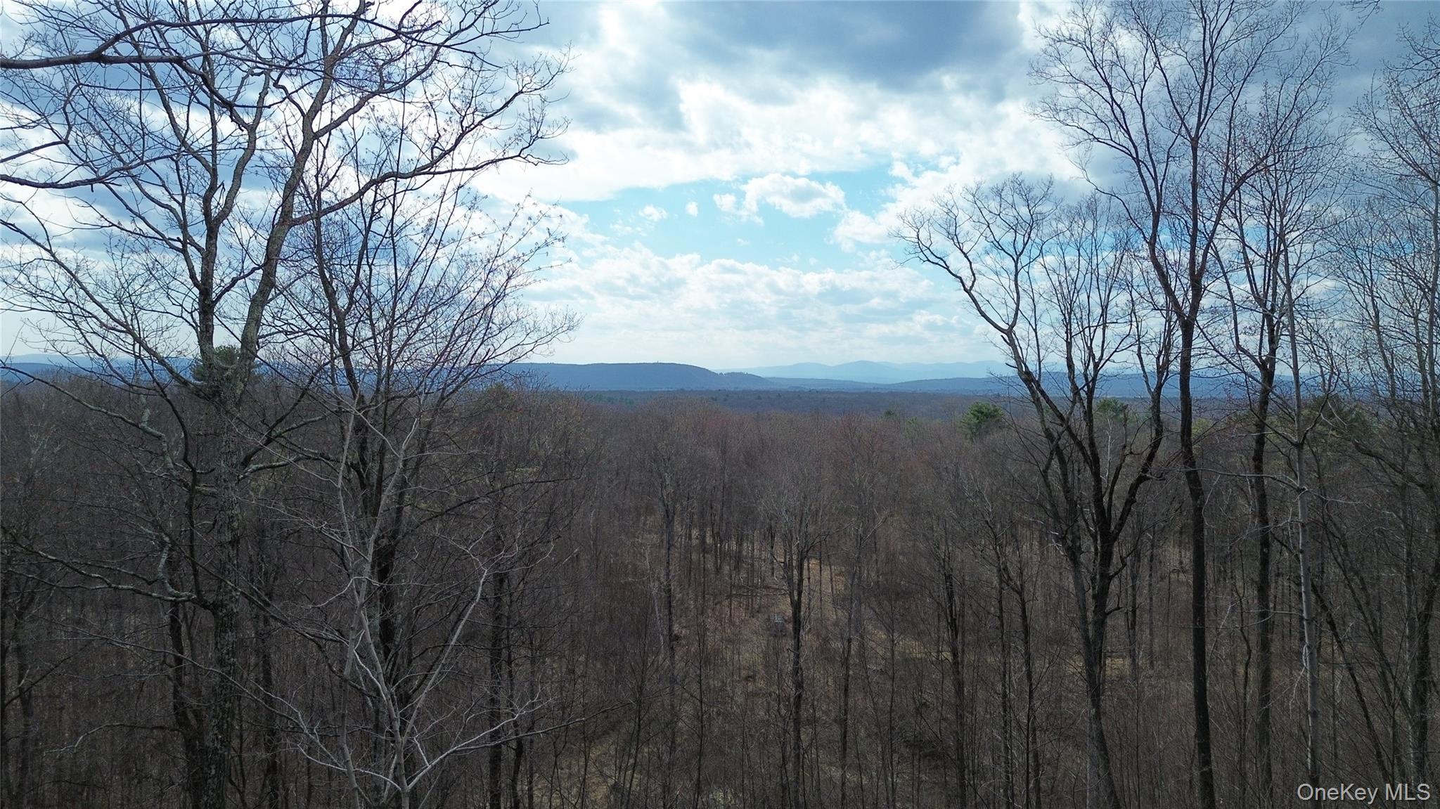 1790 Route 9g Property Photo 14