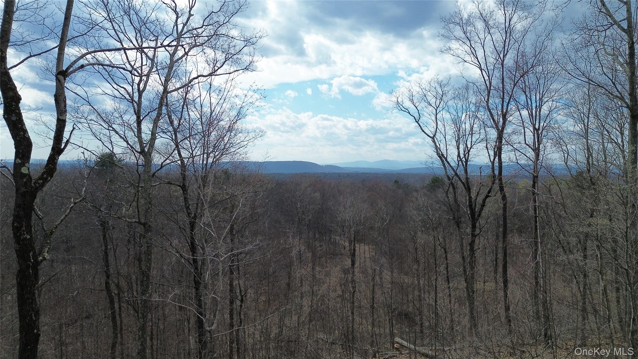 1790 Route 9g Property Photo 15