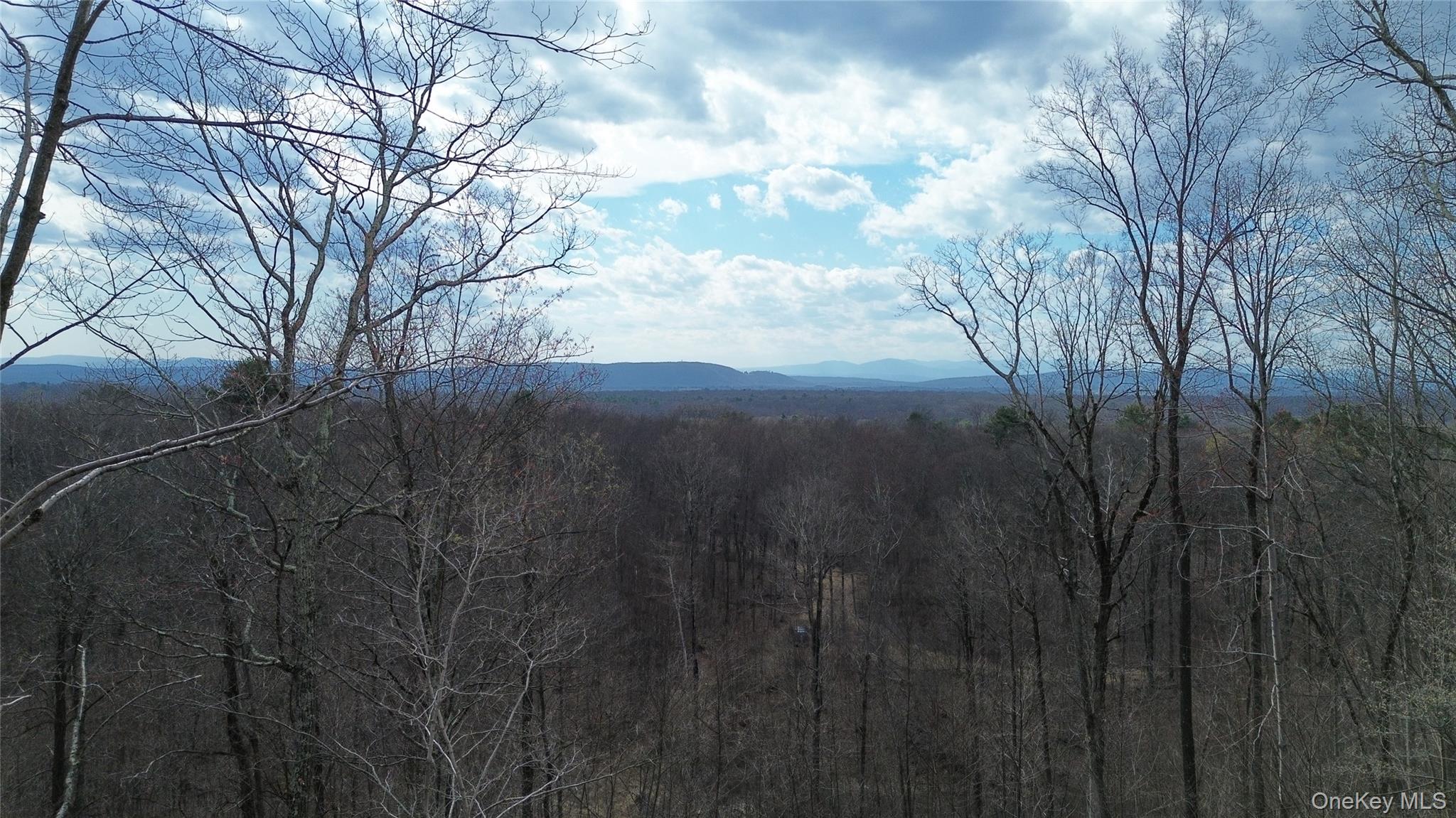 1790 Route 9g Property Photo 16
