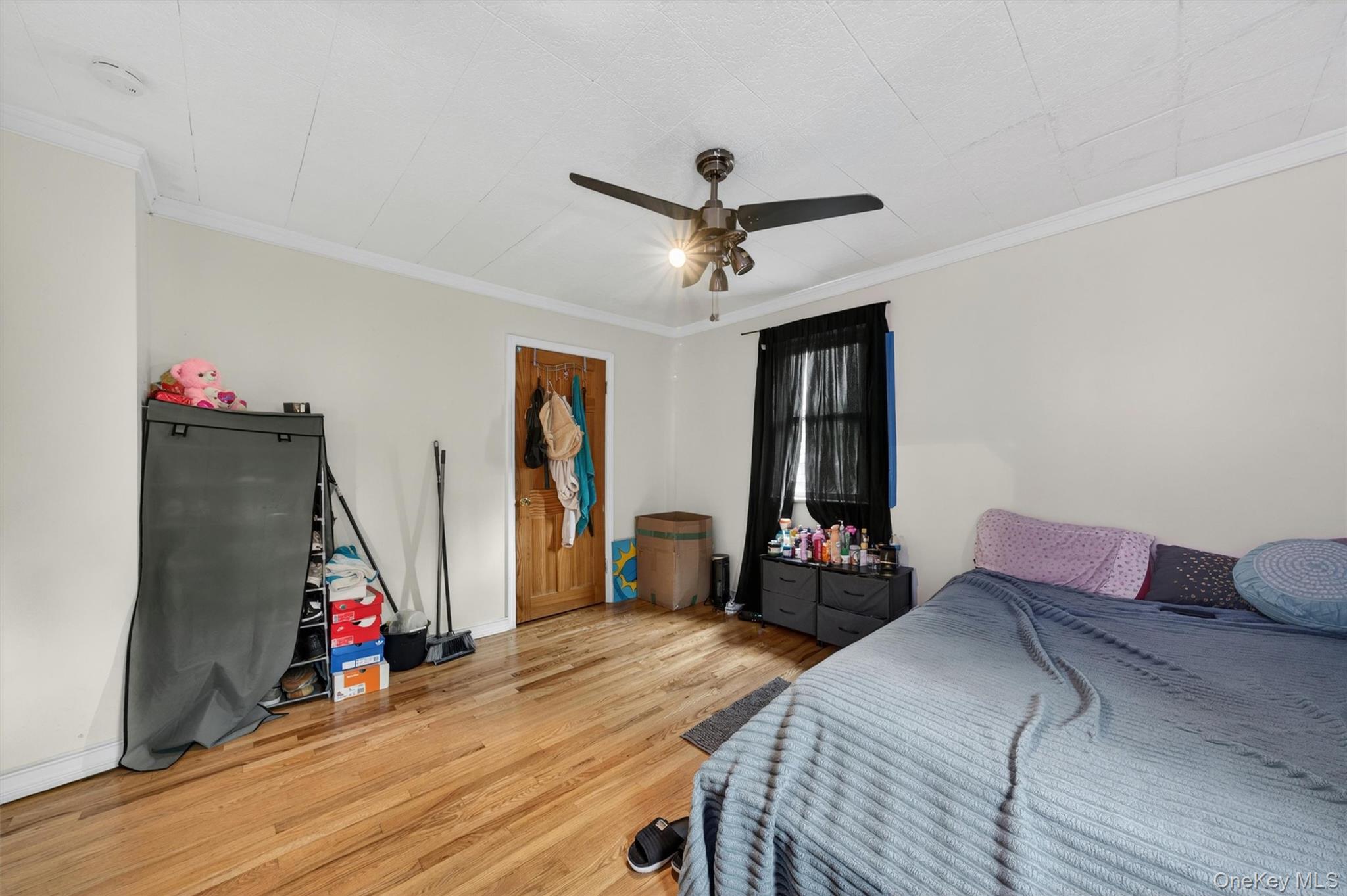 21 Dolson Avenue Property Photo 23