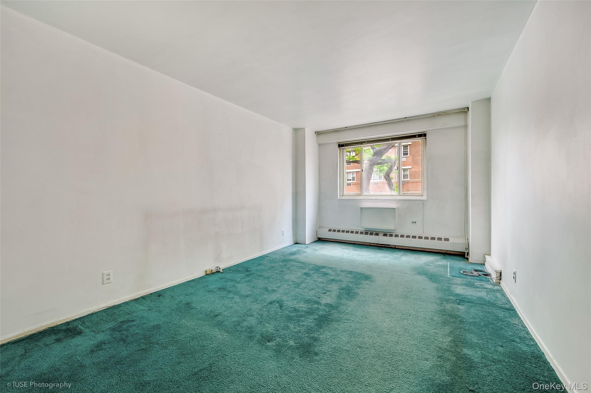 39-65 52 St. 2h Property Photo 10