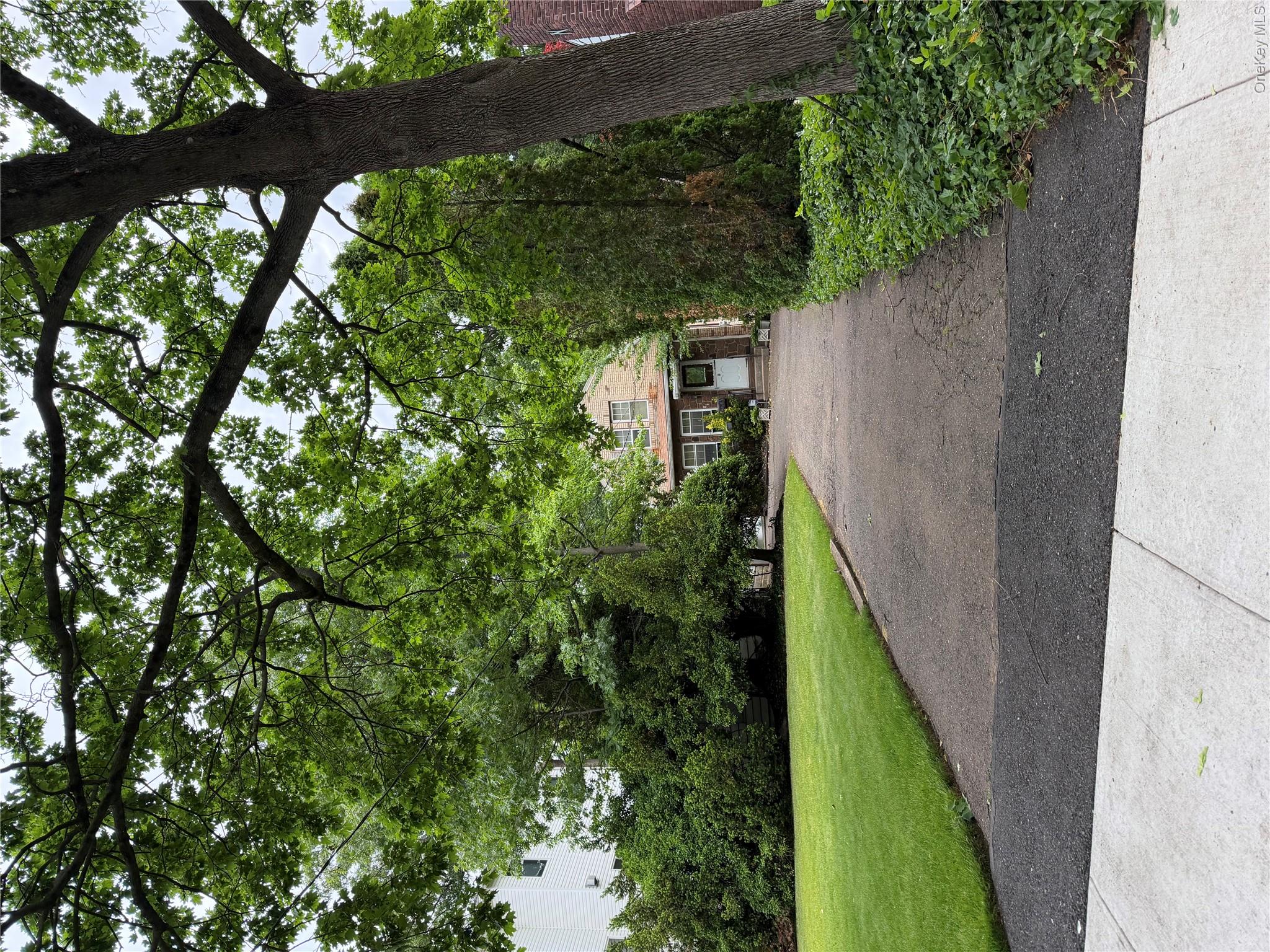 81 Hillside Terrace Property Photo 1