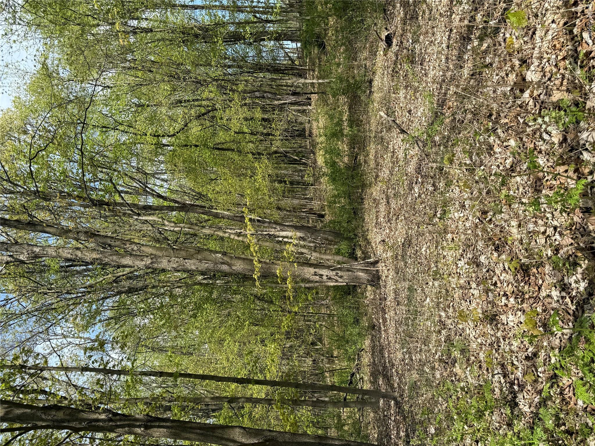 120 Floyd Ackert Road Property Photo 3