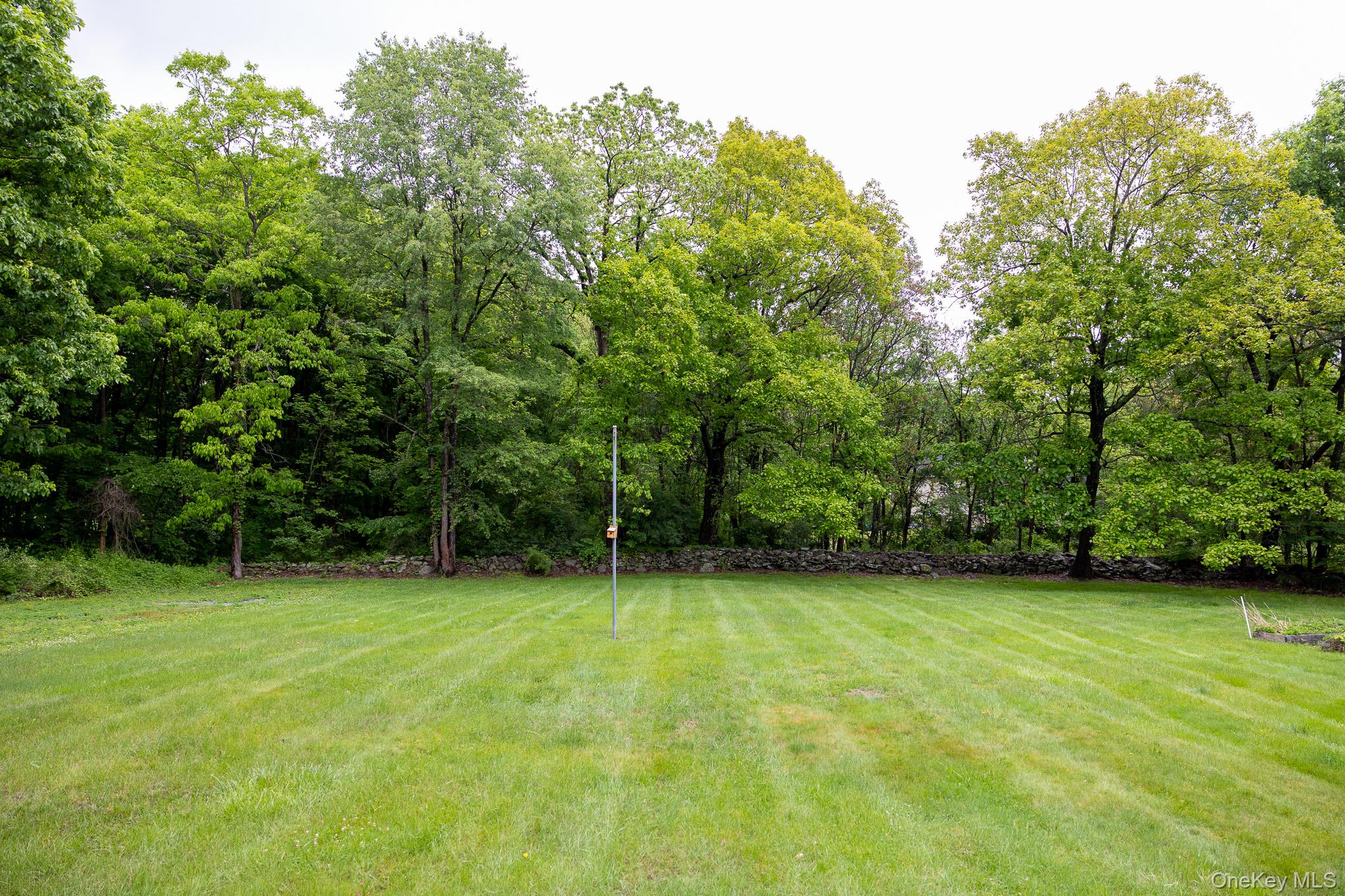1544 Route 300 Property Photo 44