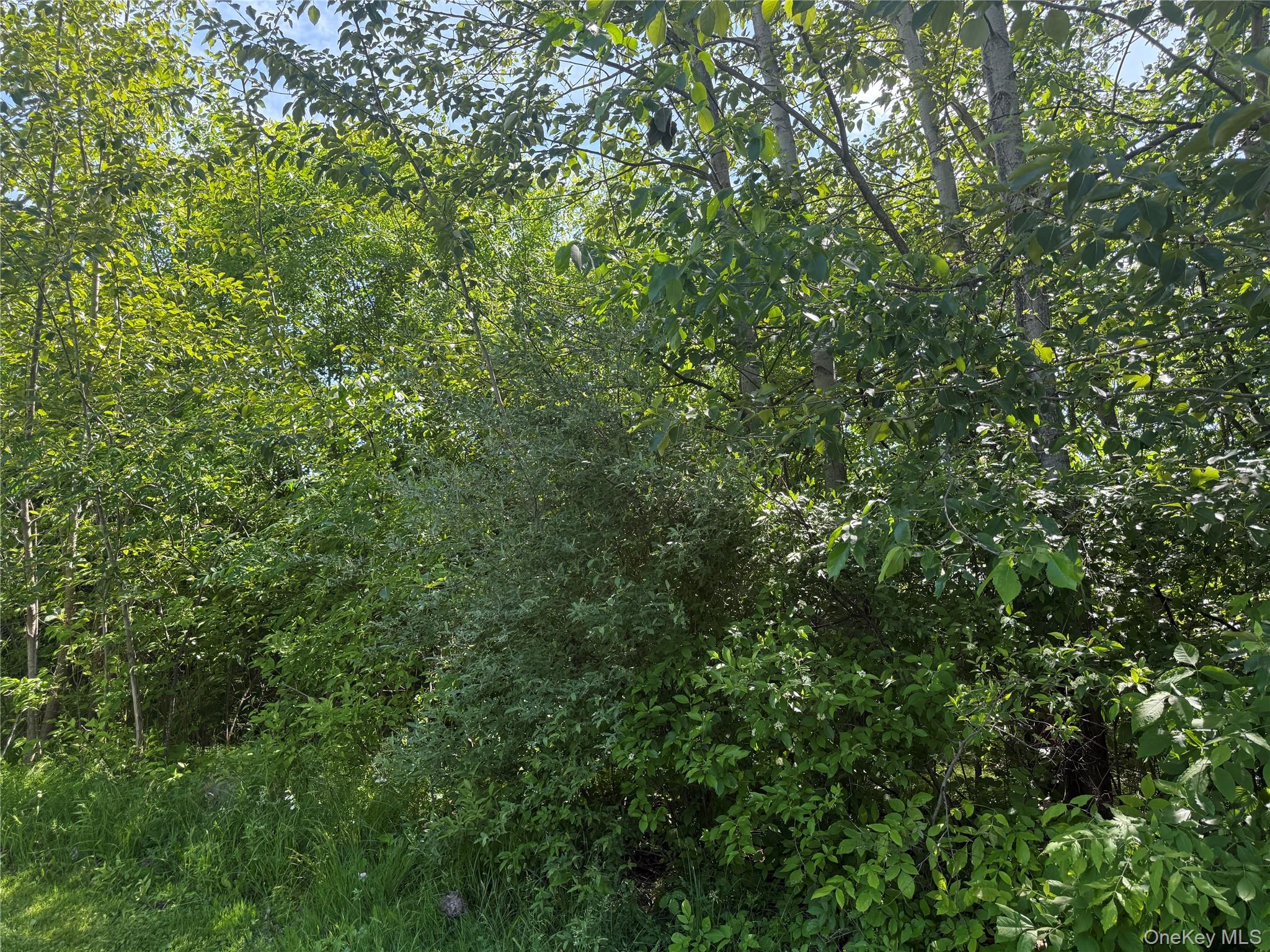 Tbd Hawleys Corners Property Photo 1